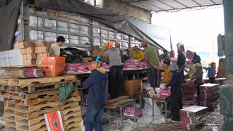 Lao động tự do cửa khẩu: Tăng thu nhập từ những chuyến hàng nông sản xuất khẩu ngày Tết