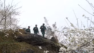 Mùa xuân trên điểm tiền tiêu