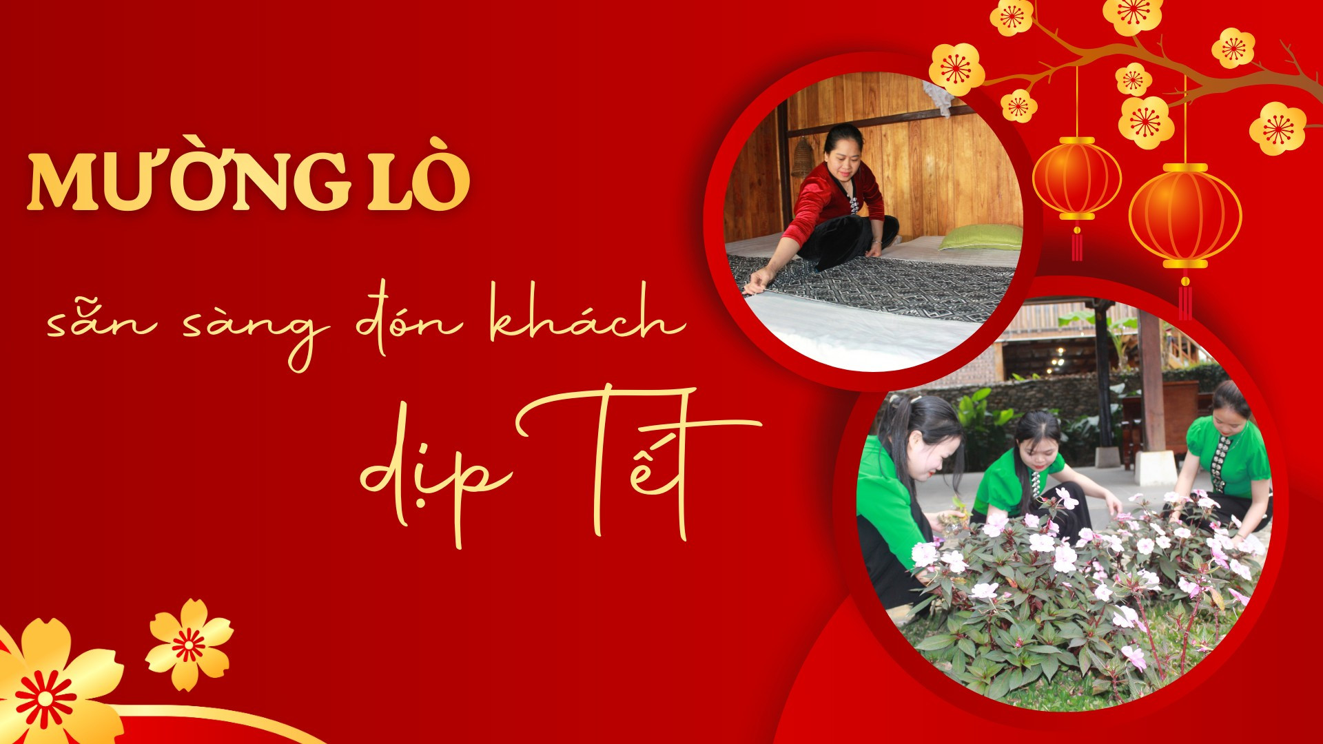 Mường Lò sẵn sàng đón khách dịp Tết