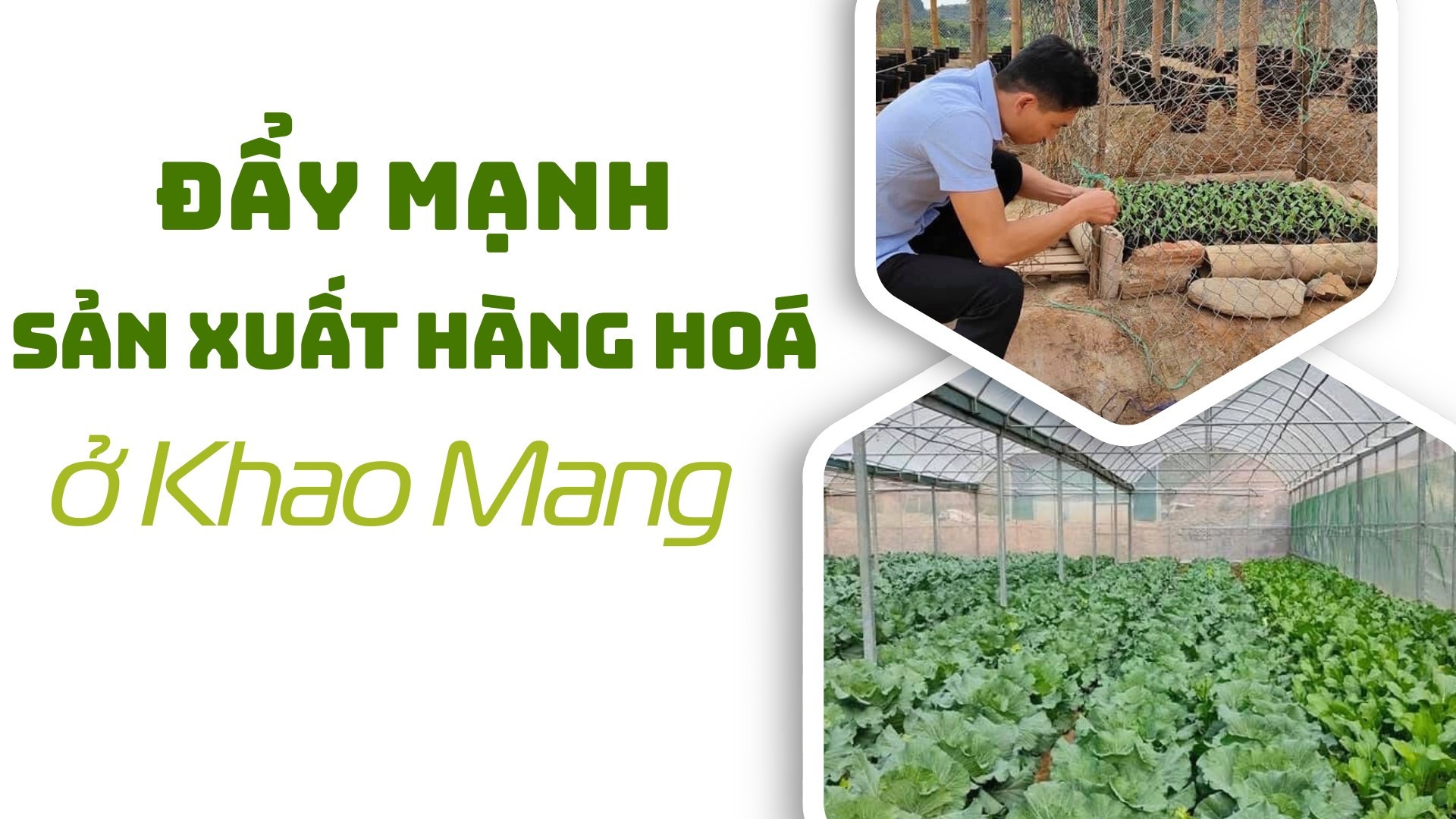 Đẩy mạnh sản xuất hàng hoá ở Khao Mang
