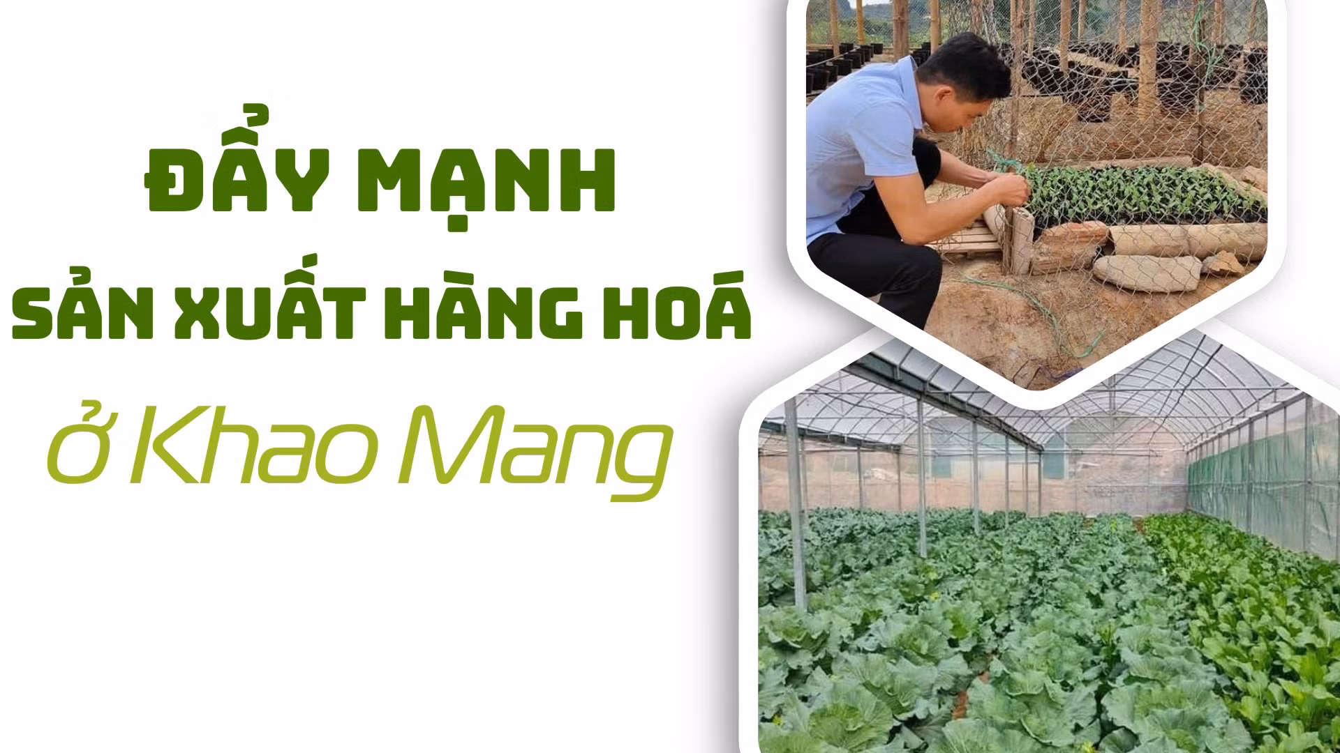 Đẩy mạnh sản xuất hàng hoá ở Khao Mang