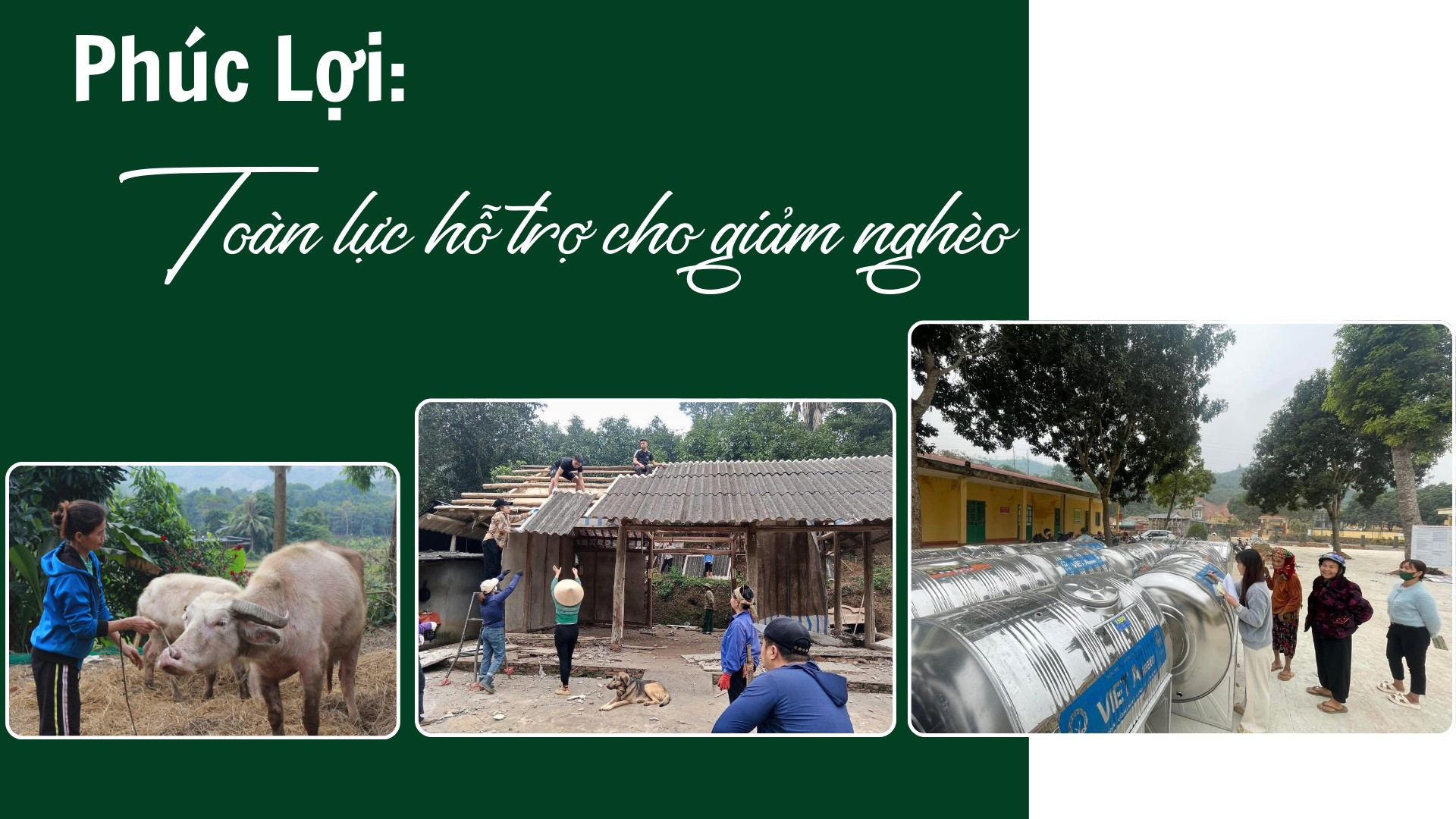 Phúc Lợi toàn lực hỗ trợ cho giảm nghèo