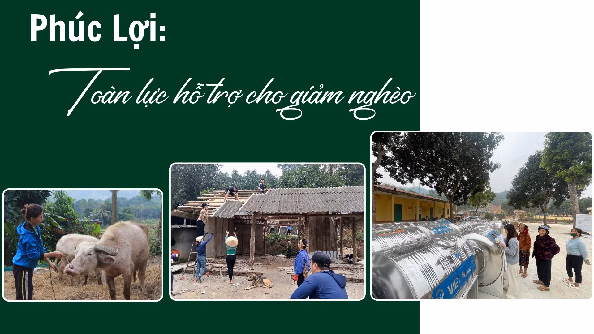 Phúc Lợi toàn lực hỗ trợ cho giảm nghèo