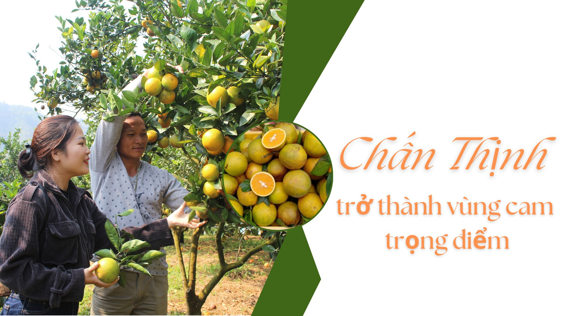 Chấn Thịnh trở thành vùng cam trọng điểm
