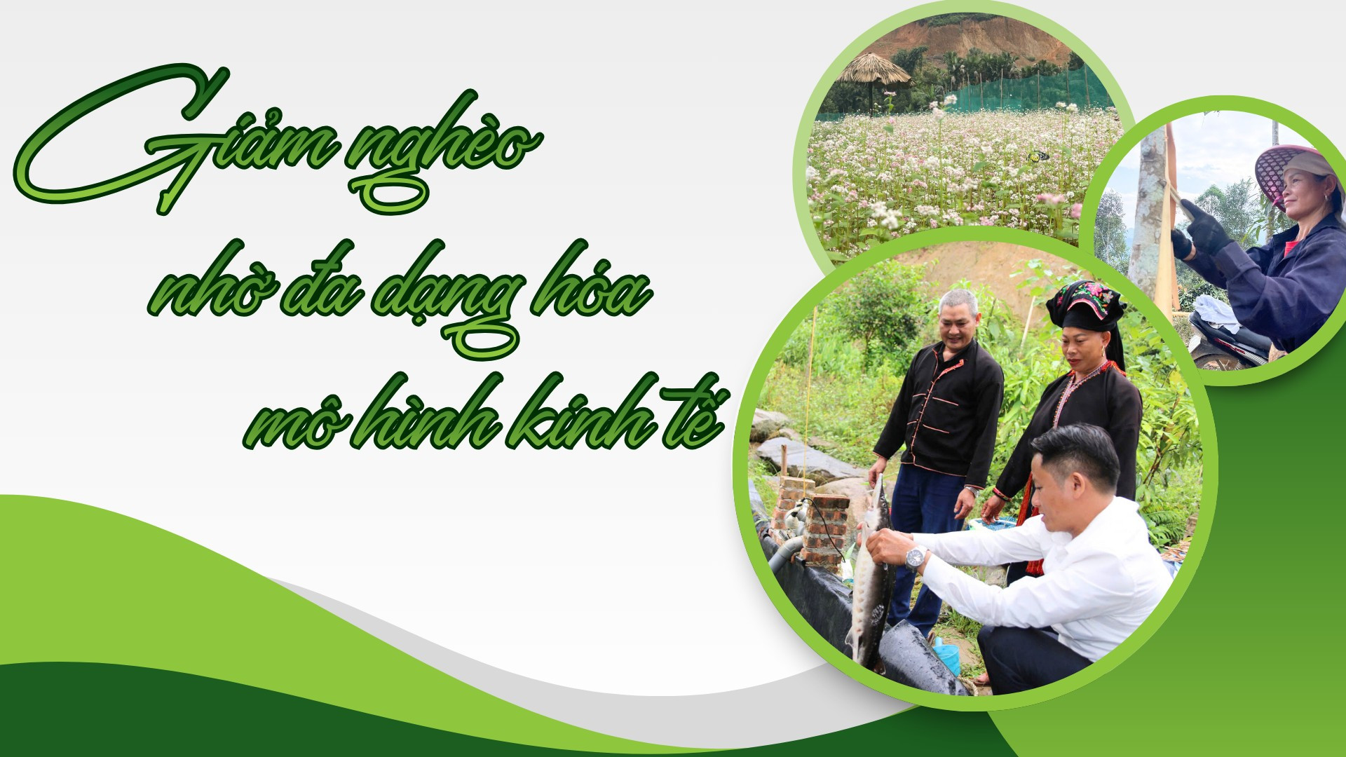 Giảm nghèo nhờ đa dạng hóa mô hình kinh tế