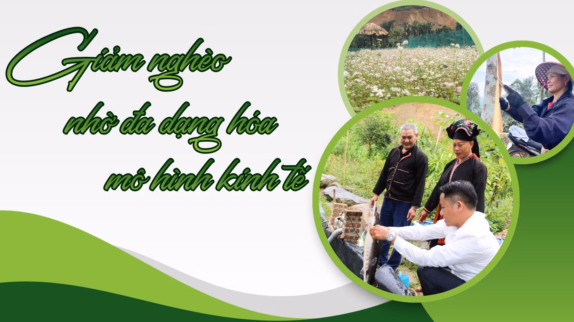 Giảm nghèo nhờ đa dạng hóa mô hình kinh tế