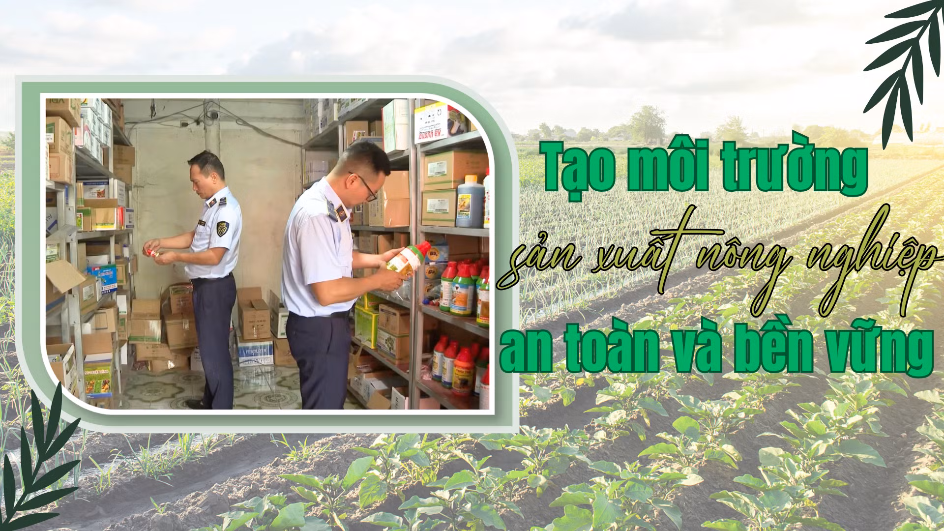 Tạo môi trường sản xuất nông nghiệp an toàn và bền vững