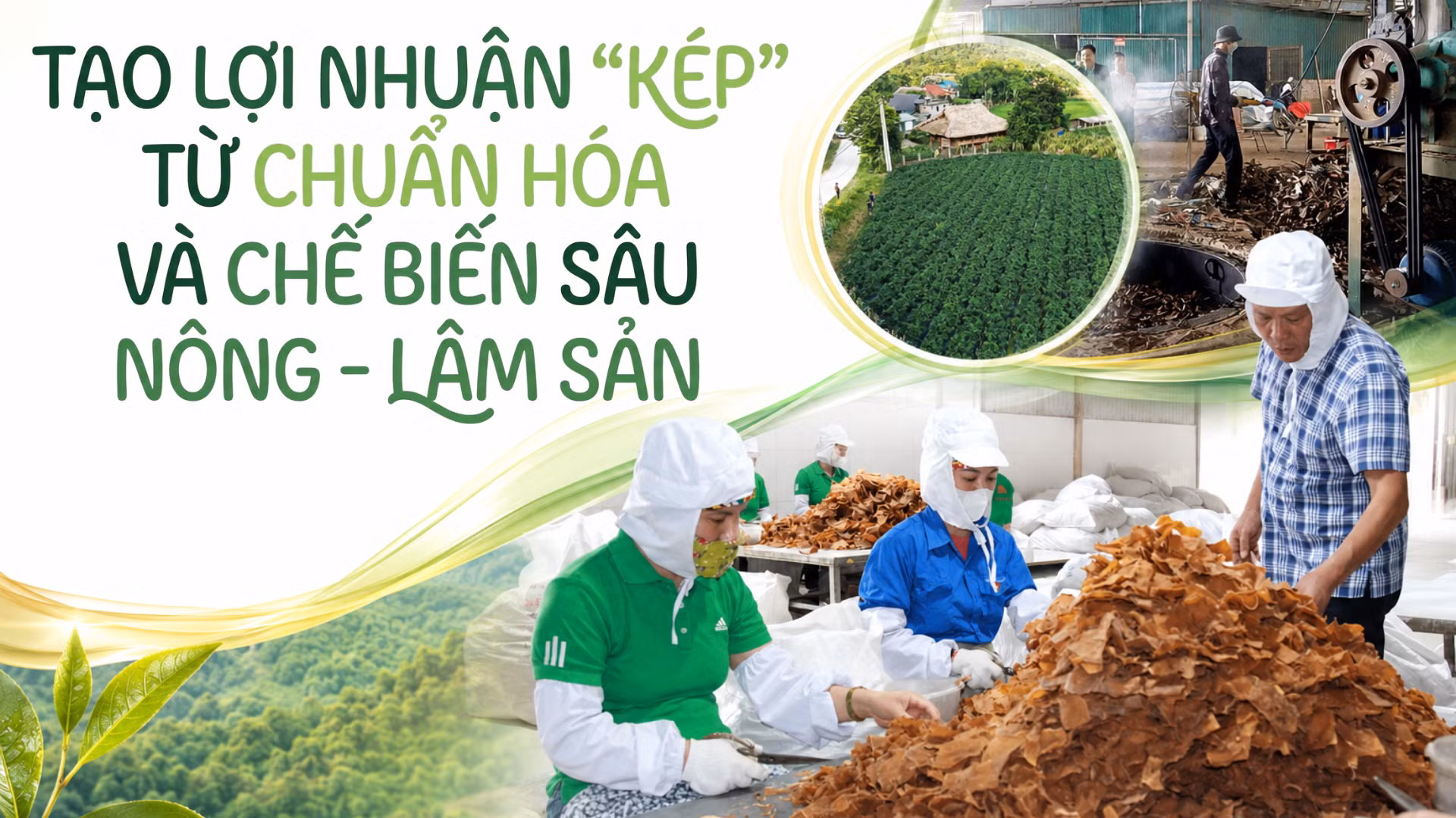 Tạo lợi nhuận “kép” từ chuẩn hóa và chế biến sâu nông - lâm sản