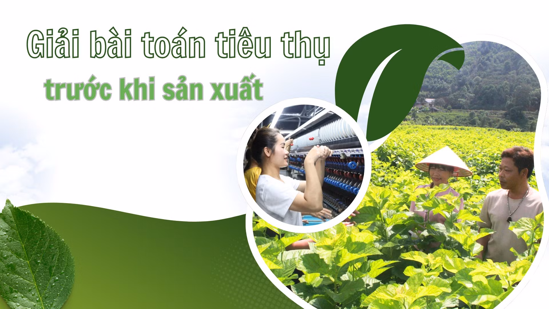 Giải bài toán tiêu thụ trước khi sản xuất