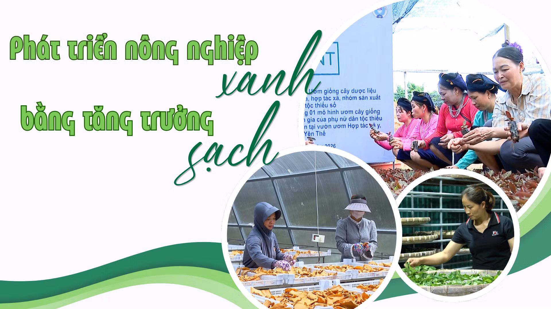 Phát triển nông nghiệp xanh bằng tăng trưởng sạch