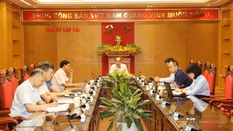 Thường trực Tỉnh ủy làm việc với các cơ quan chuyên trách tham mưu, giúp việc Tỉnh ủy, Báo Lào Cai, Trường Chính trị tỉnh