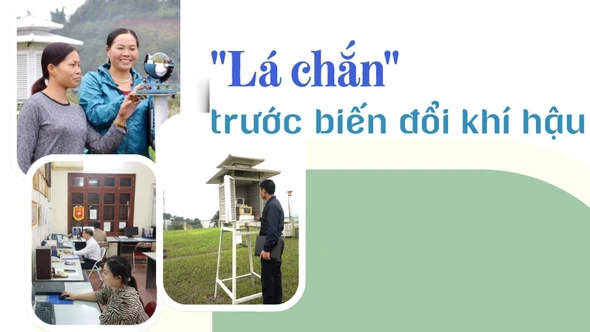 "Lá chắn" trước biến đổi khí hậu 