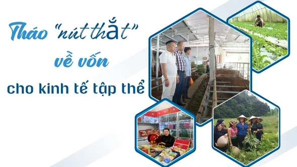 Tháo "nút thắt" về vốn cho kinh tế tập thể