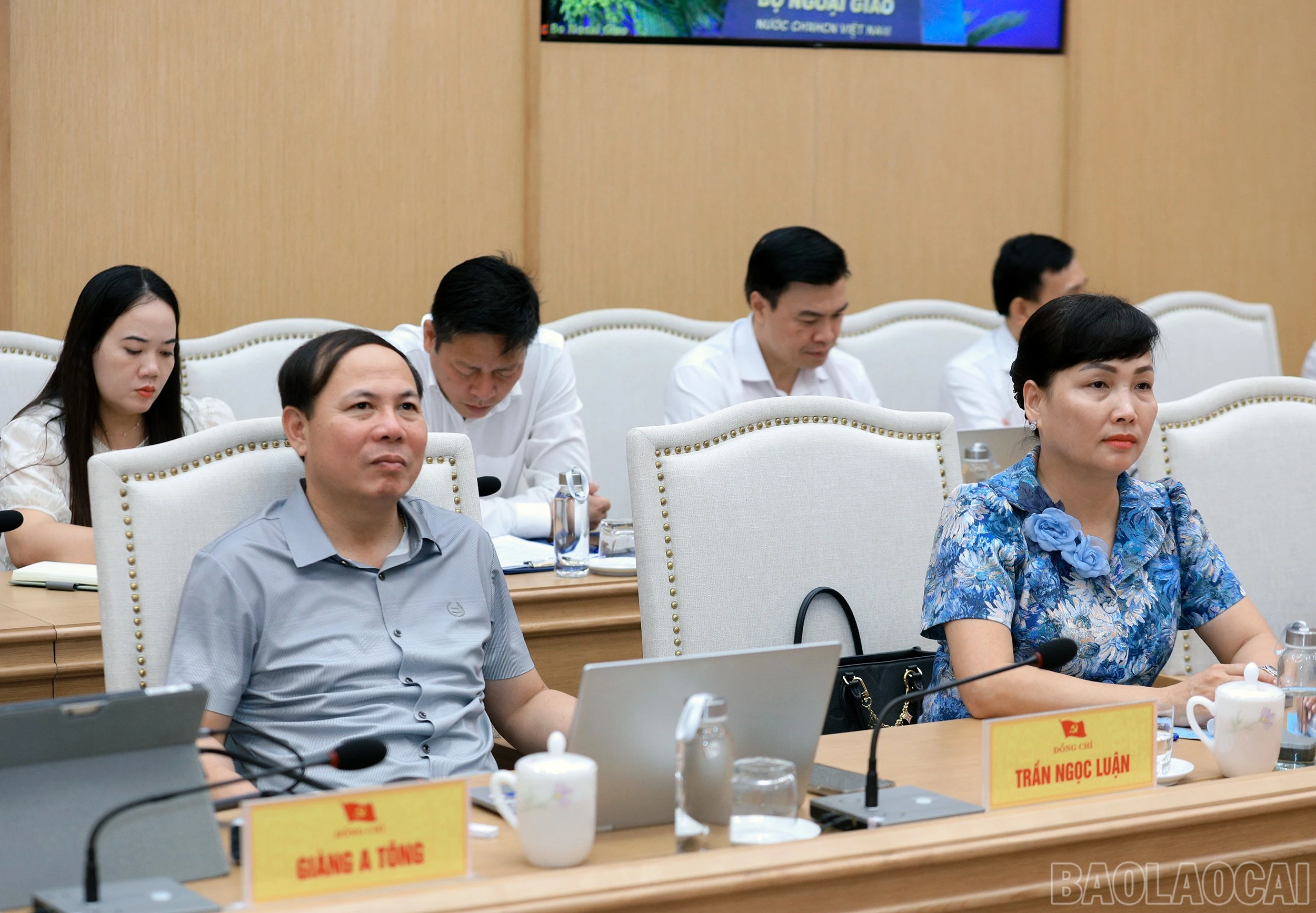 baolaocai-br_7j5a1545.jpg