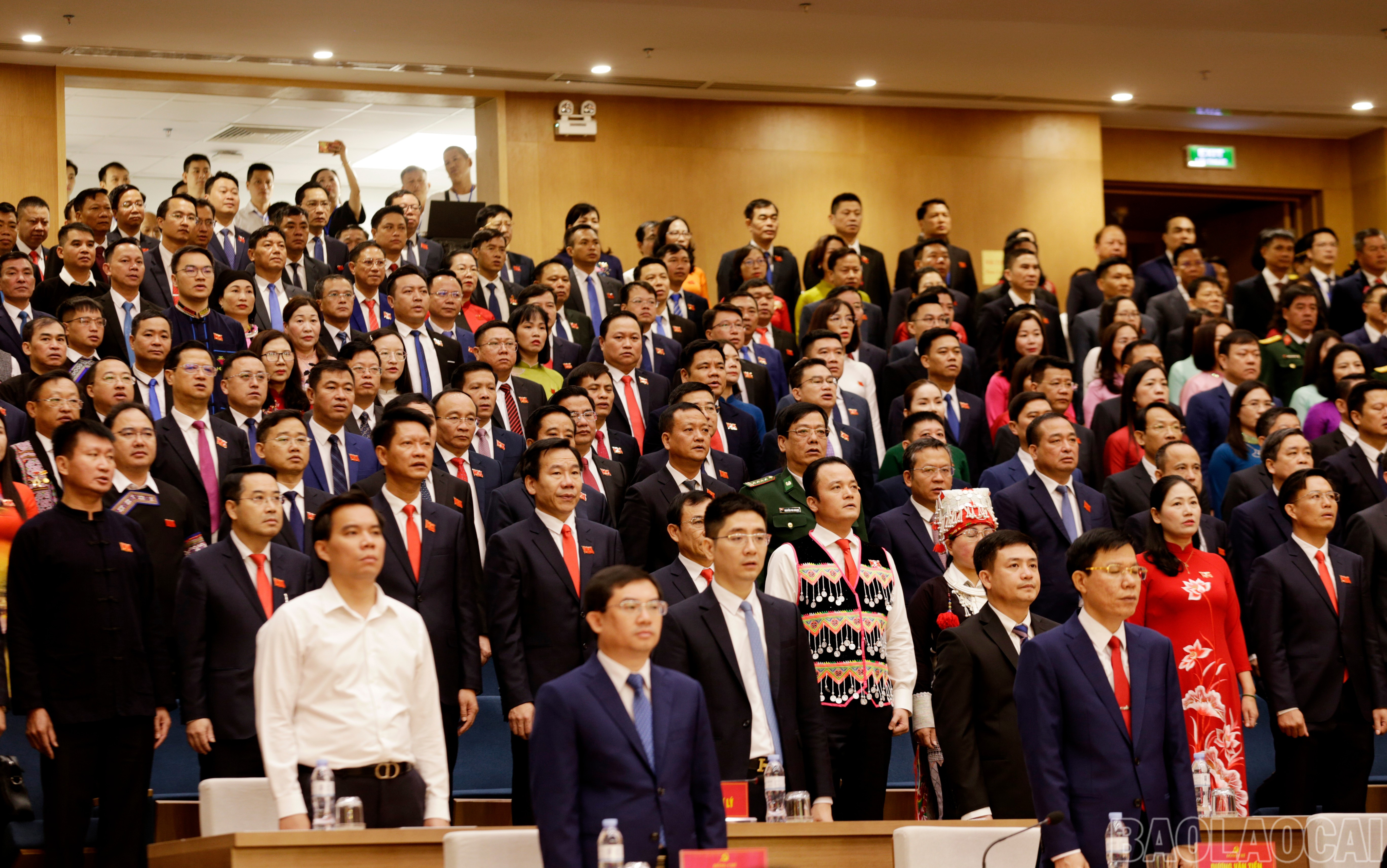 baolaocai-br_mg-8246.jpg