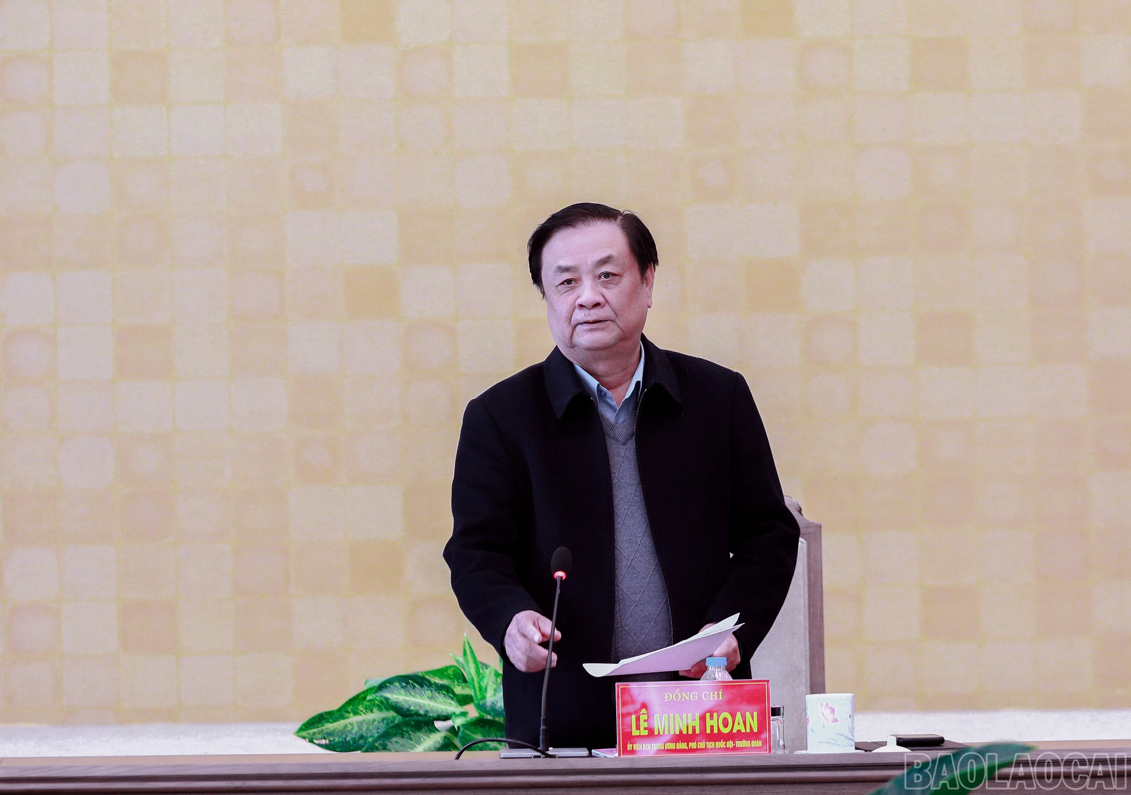 baolaocai-br_7j5a2375.jpg