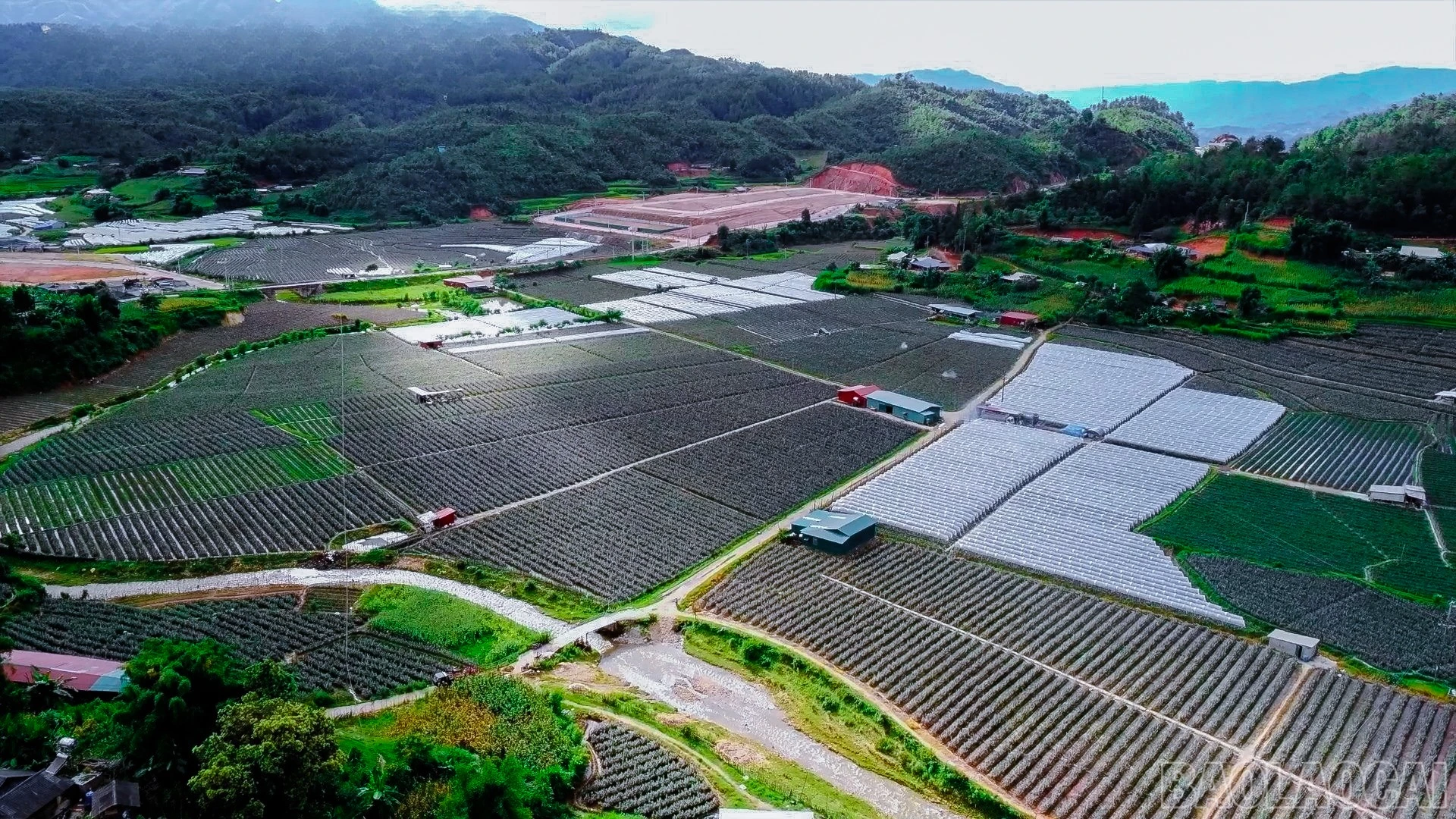 Xã Púng Luông chú trọng công tác chính trị, tư tưởng ảnh 4