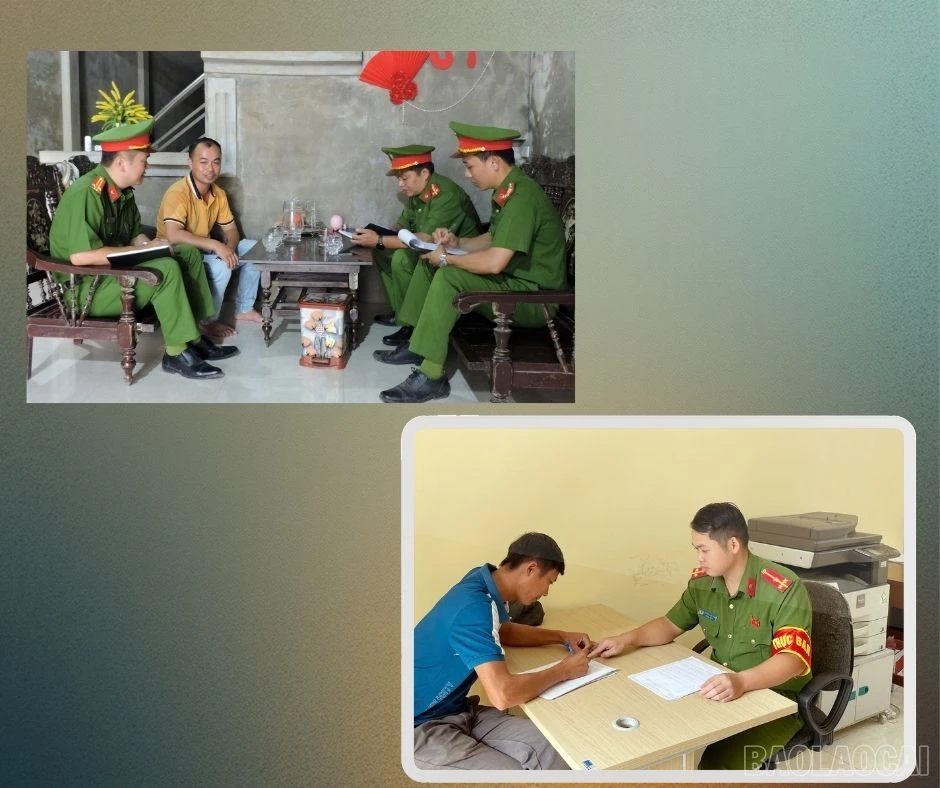 baolaocai-br_654.jpg
