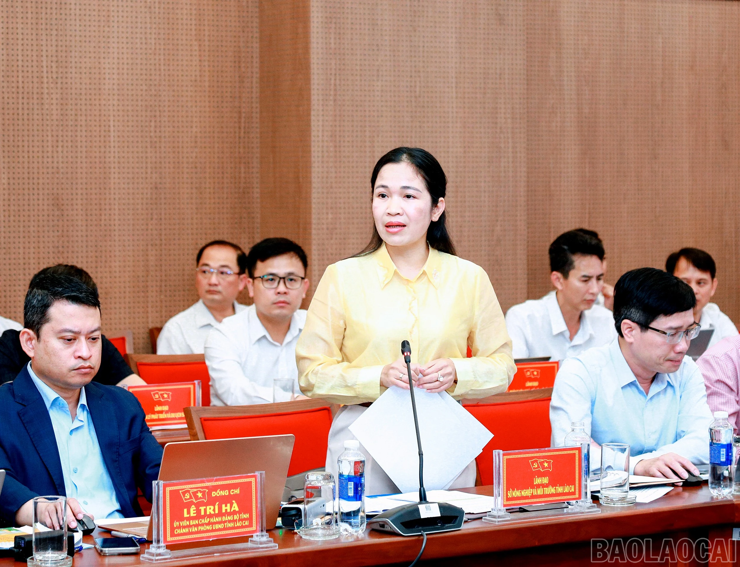 baolaocai-br_7j5a9252.jpg