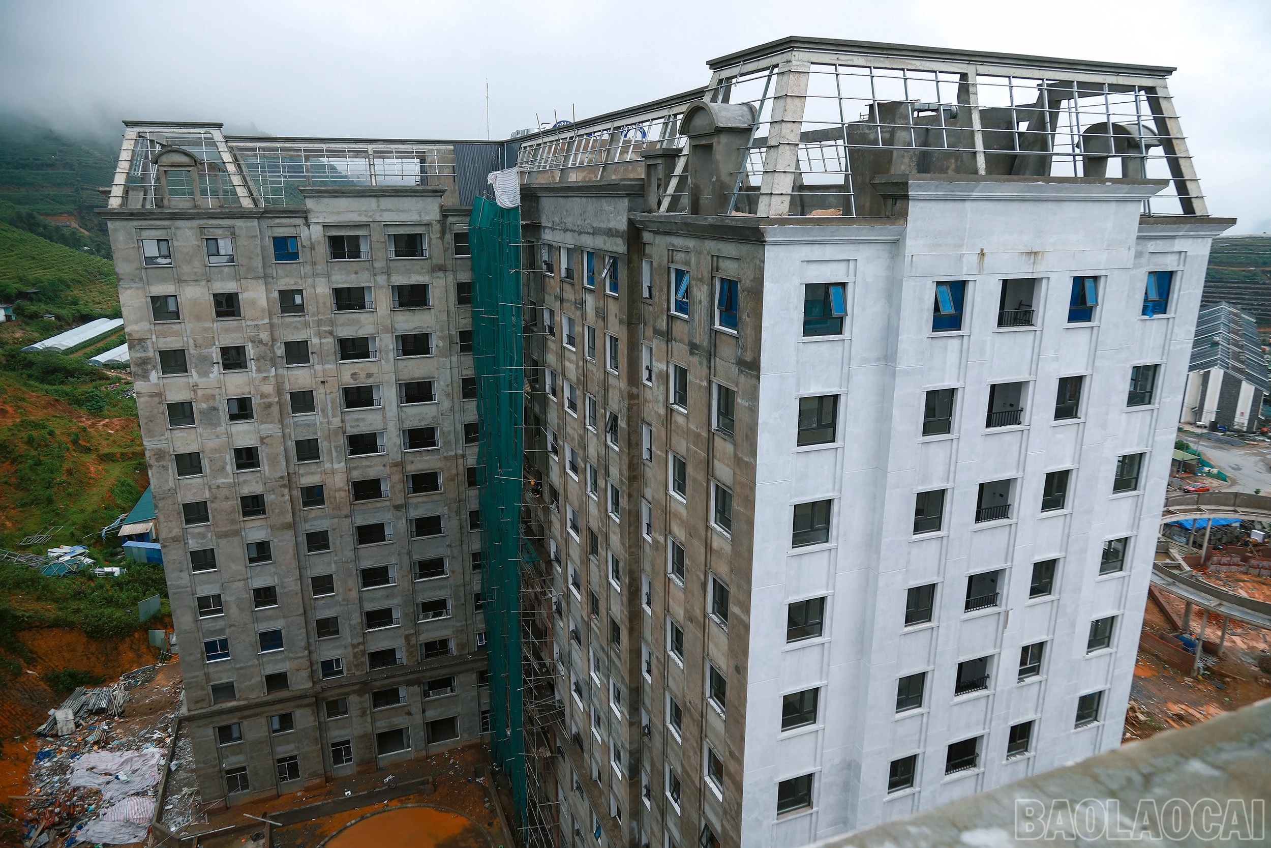 baolaocai-br_7j5a8991.jpg