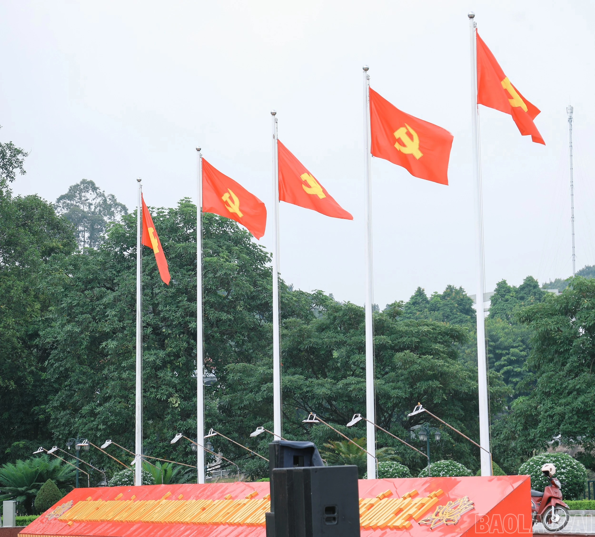 baolaocai-br_7j5a1602.jpg
