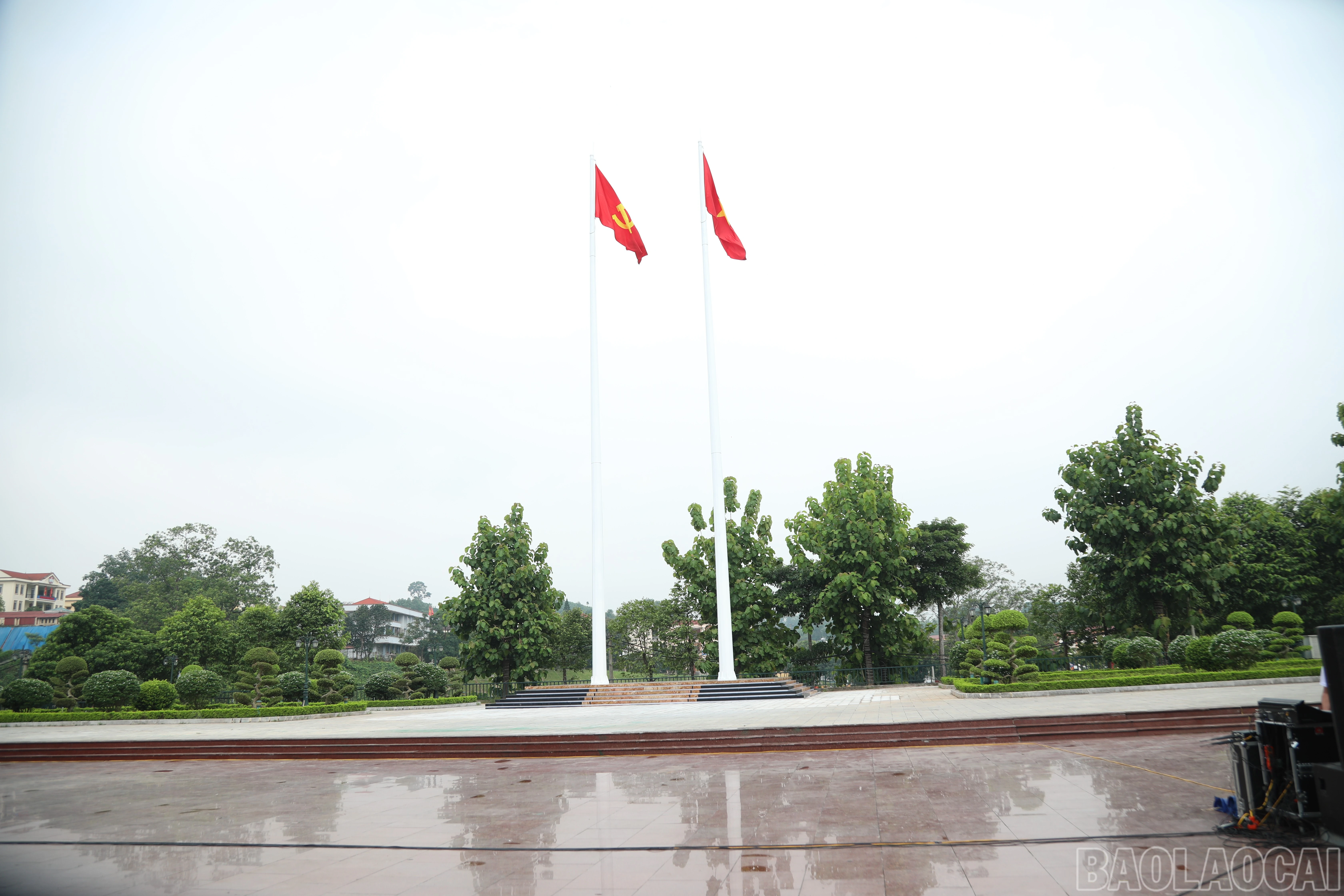 baolaocai-br_7j5a1604.jpg