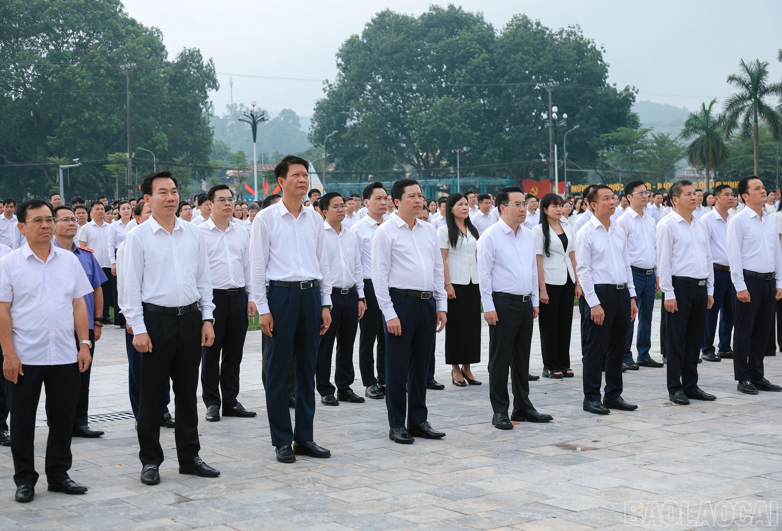 baolaocai-br_7j5a1672.jpg
