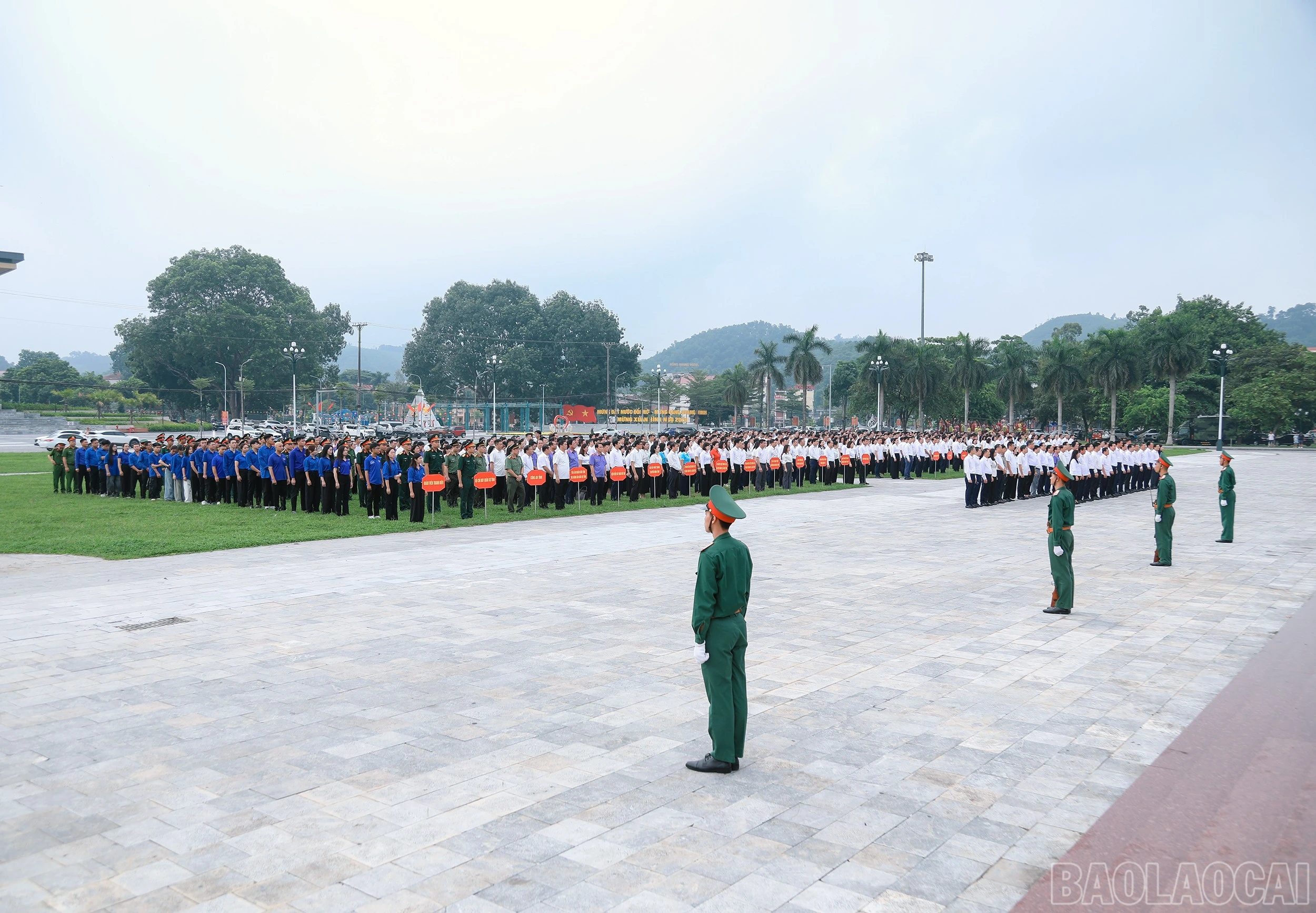 baolaocai-br_7j5a1617.jpg