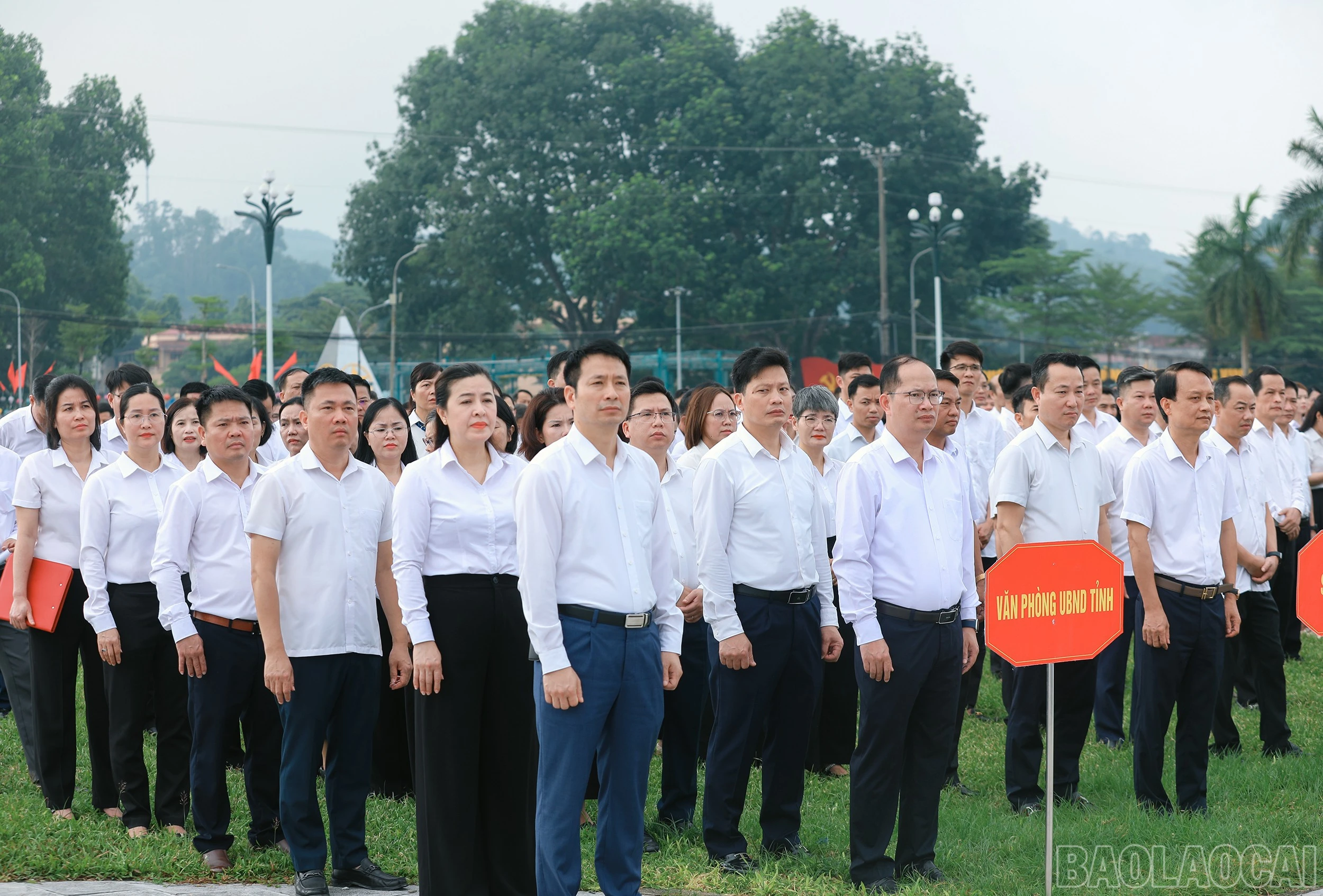 baolaocai-br_7j5a1752.jpg