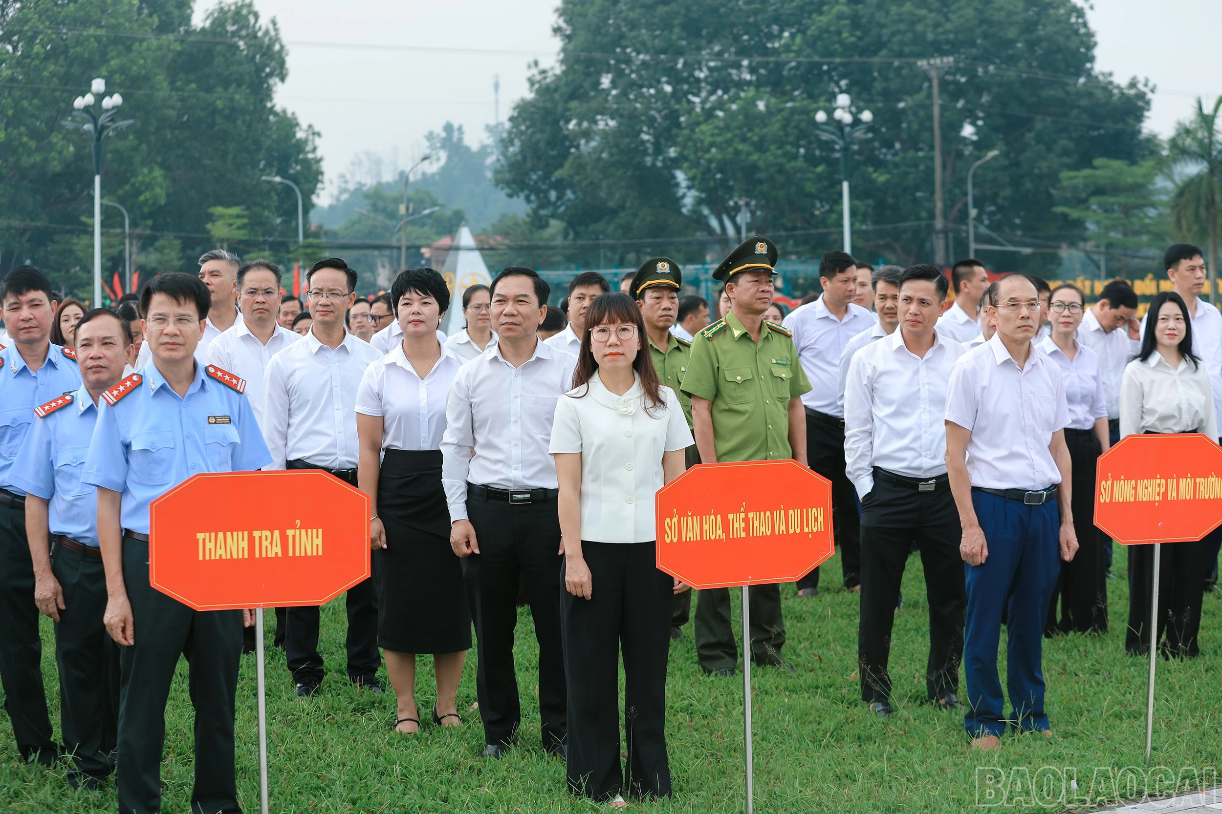 baolaocai-br_7j5a1764.jpg