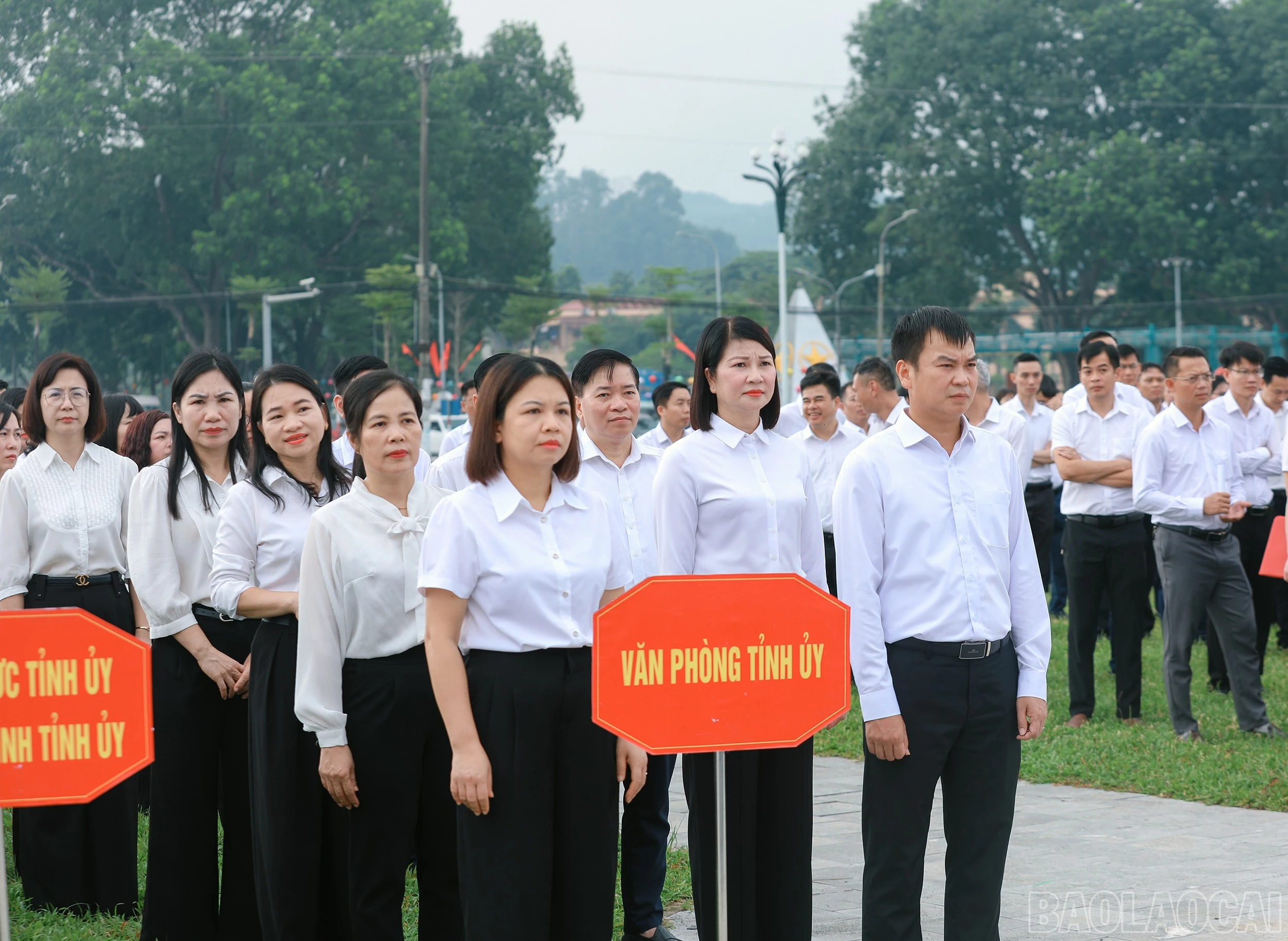 baolaocai-br_7j5a1748.jpg