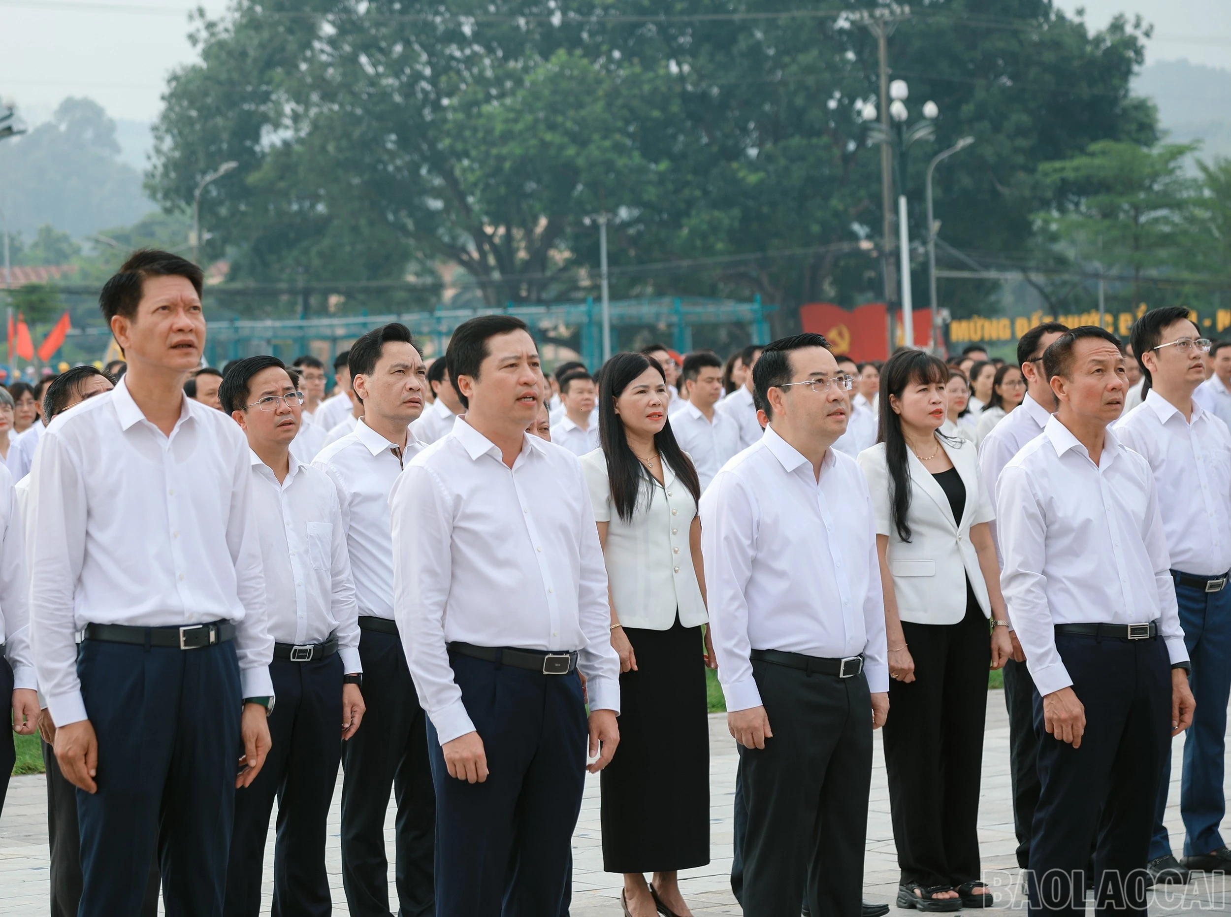 baolaocai-br_7j5a1685.jpg