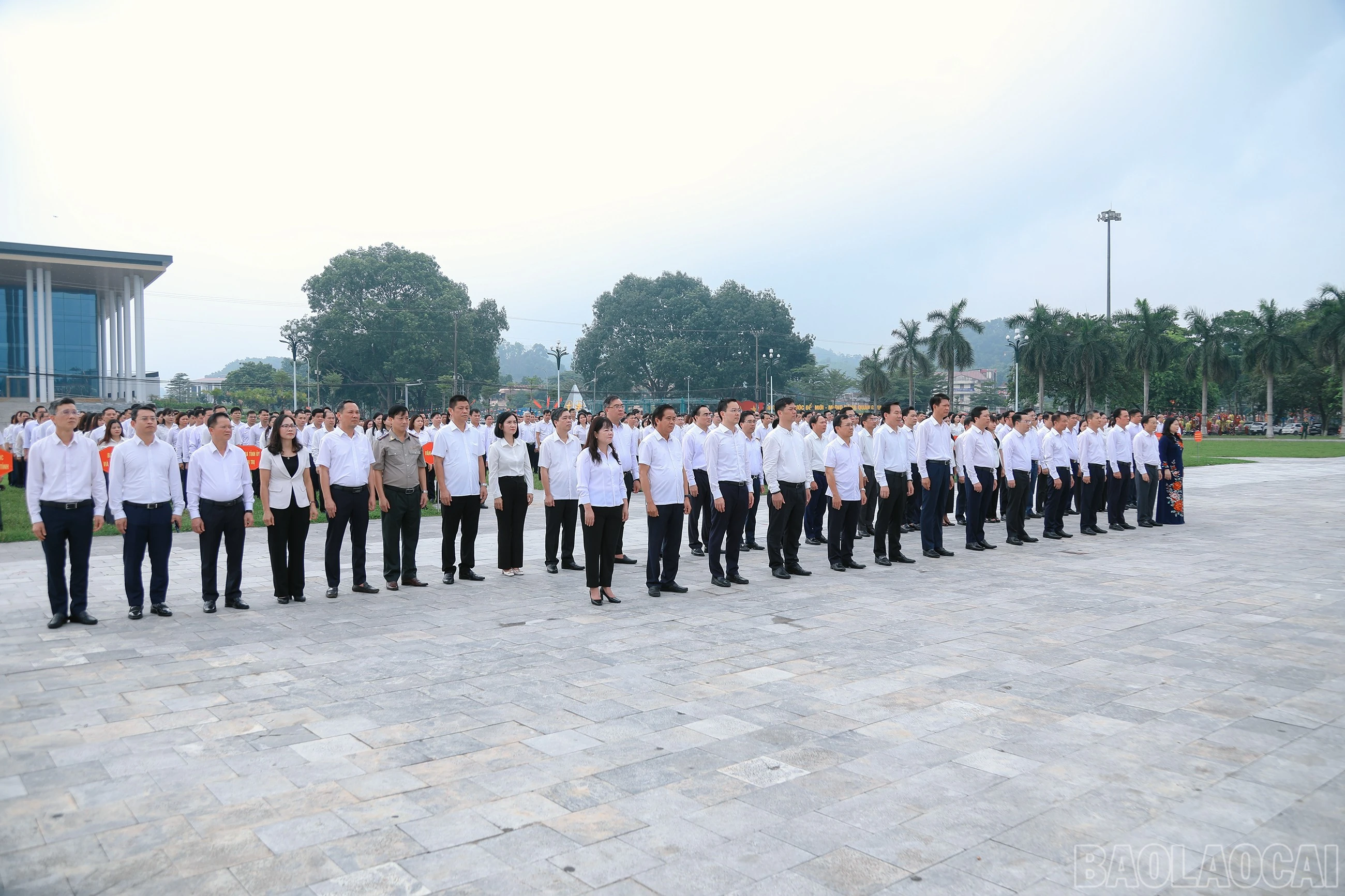 baolaocai-br_7j5a1661.jpg