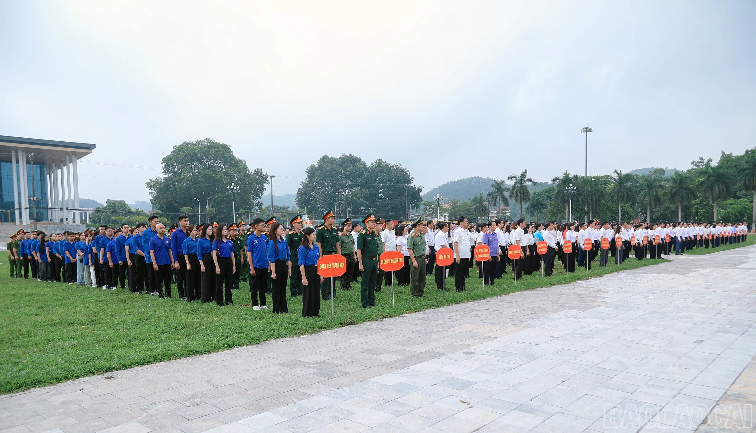 baolaocai-br_7j5a1618.jpg