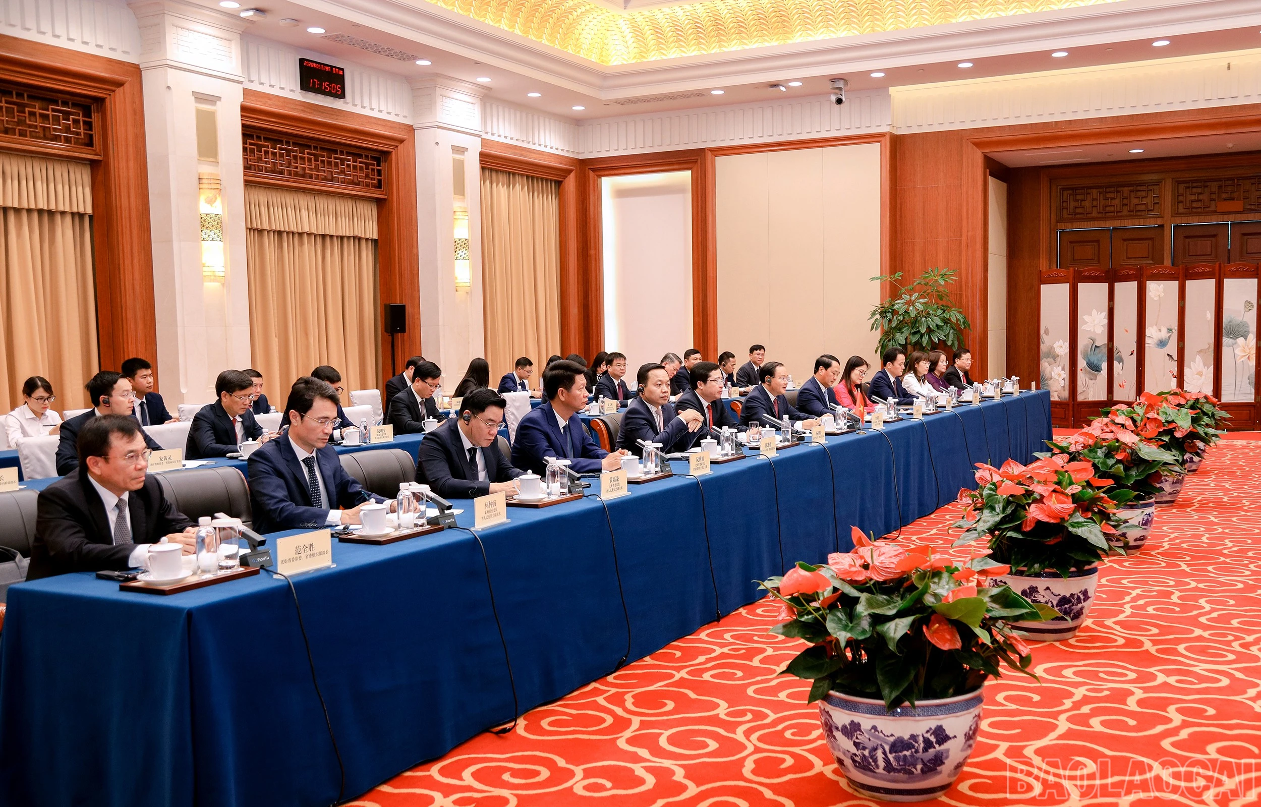baolaocai-br_7j5a1286.jpg