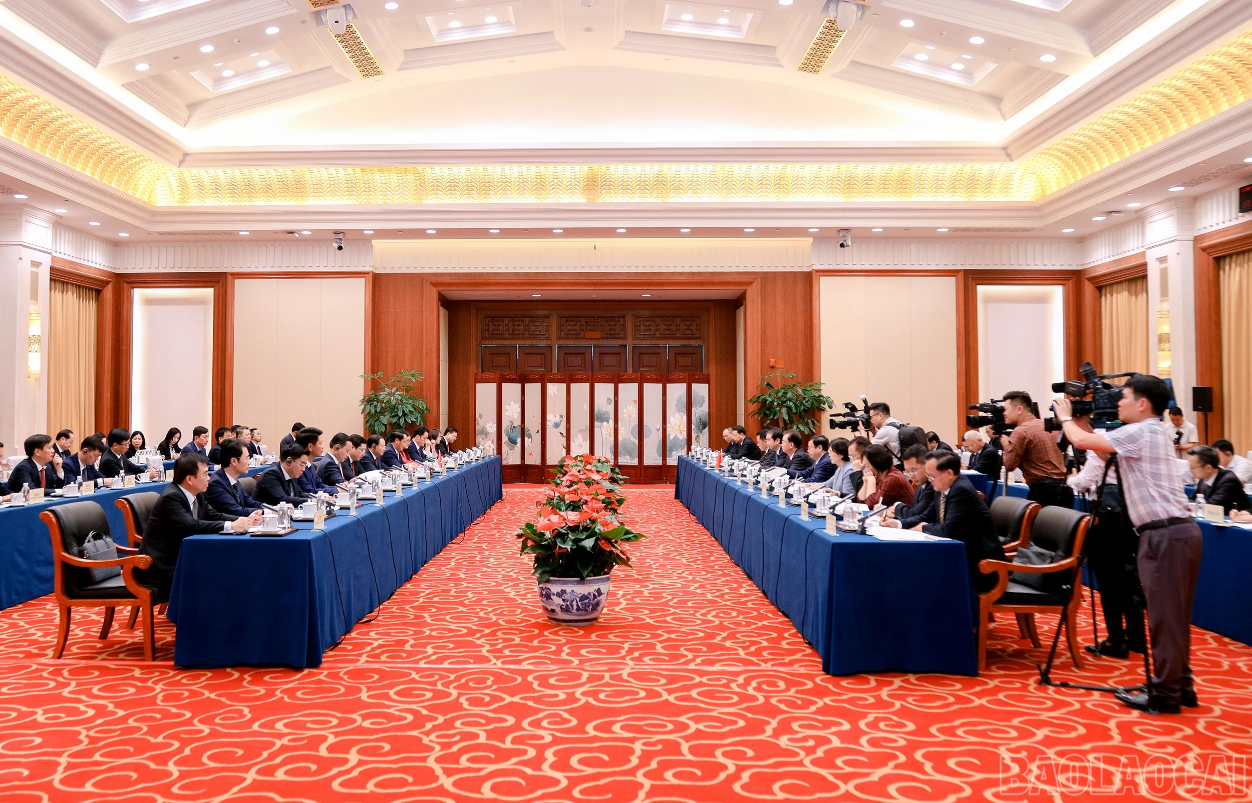 baolaocai-br_7j5a1296.jpg
