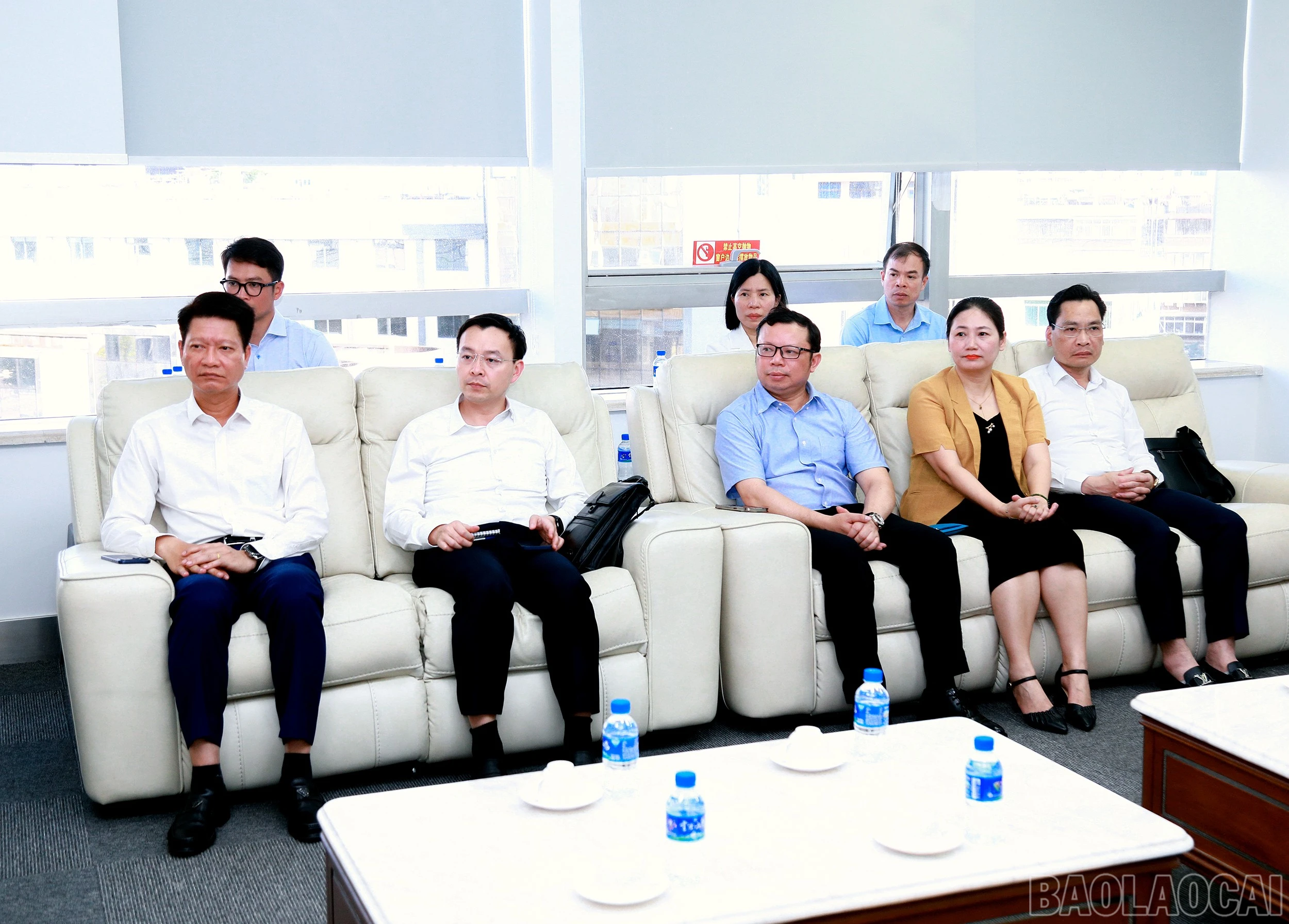 baolaocai-br_7j5a0390.jpg