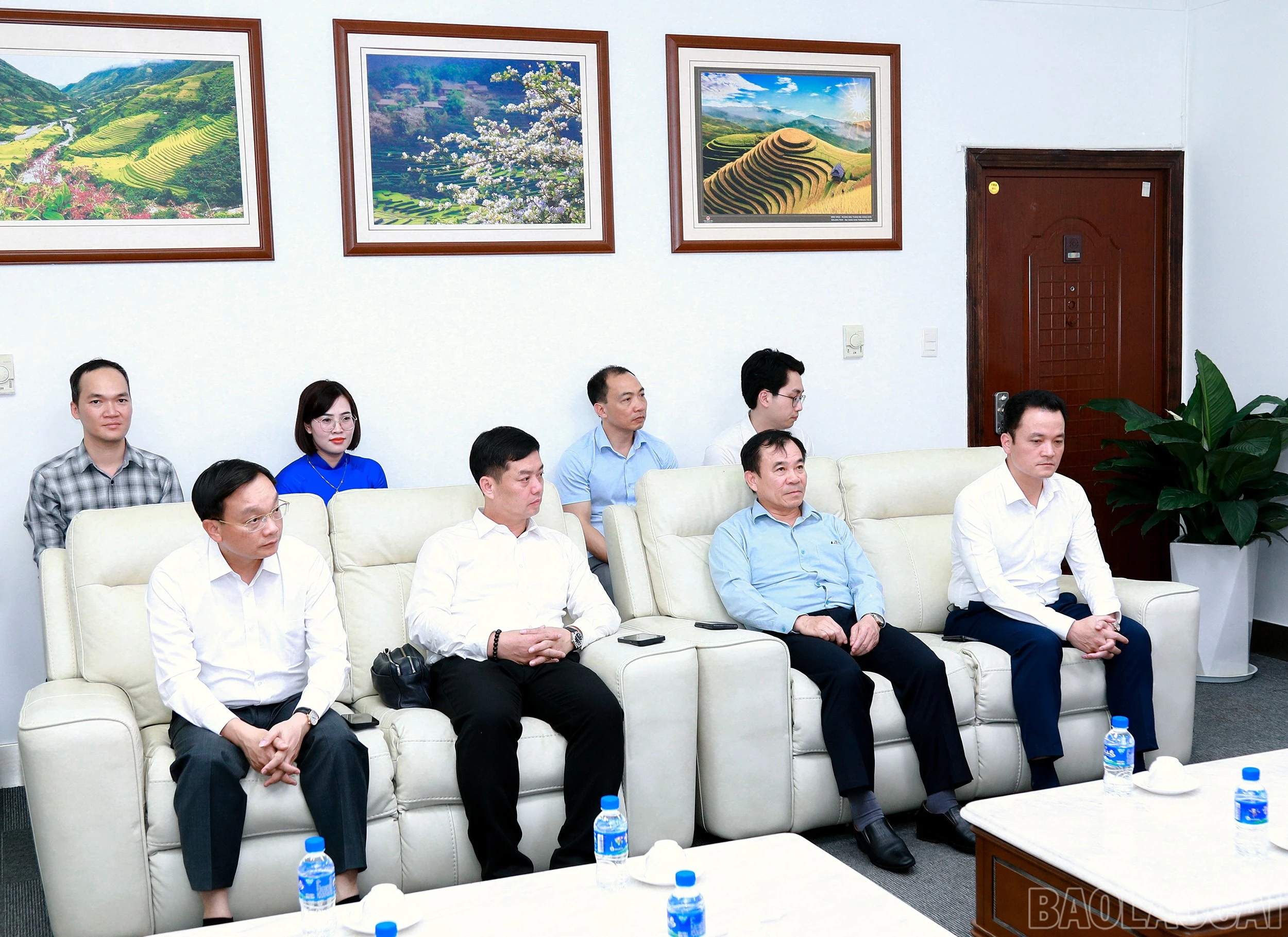 baolaocai-br_7j5a0342.jpg