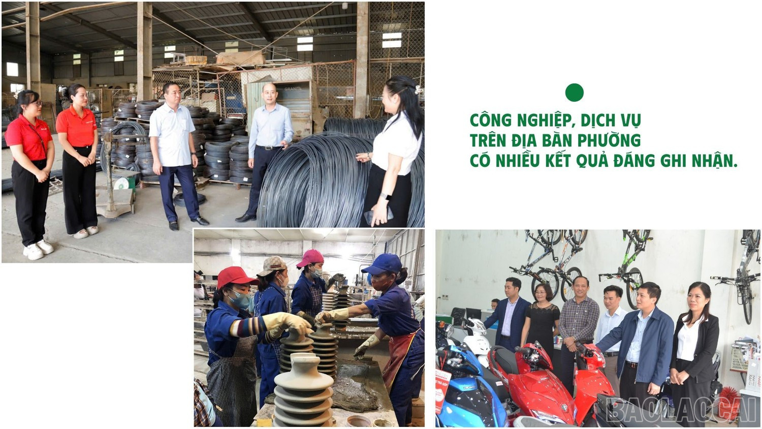 baolaocai-br_anh-4.jpg