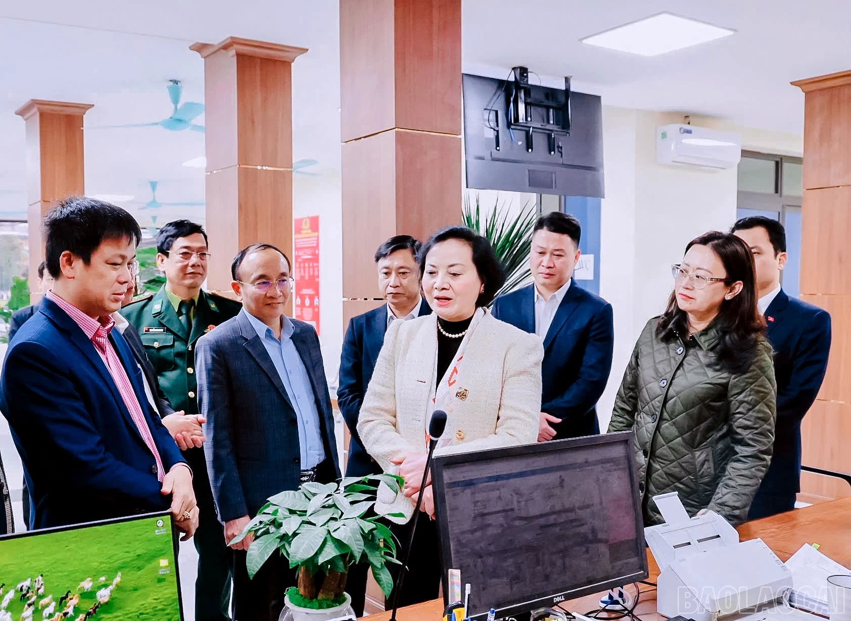 baolaocai-br_z7515093106338-b1aa3d5a8b28c946386a7310813a197d-3557.jpg