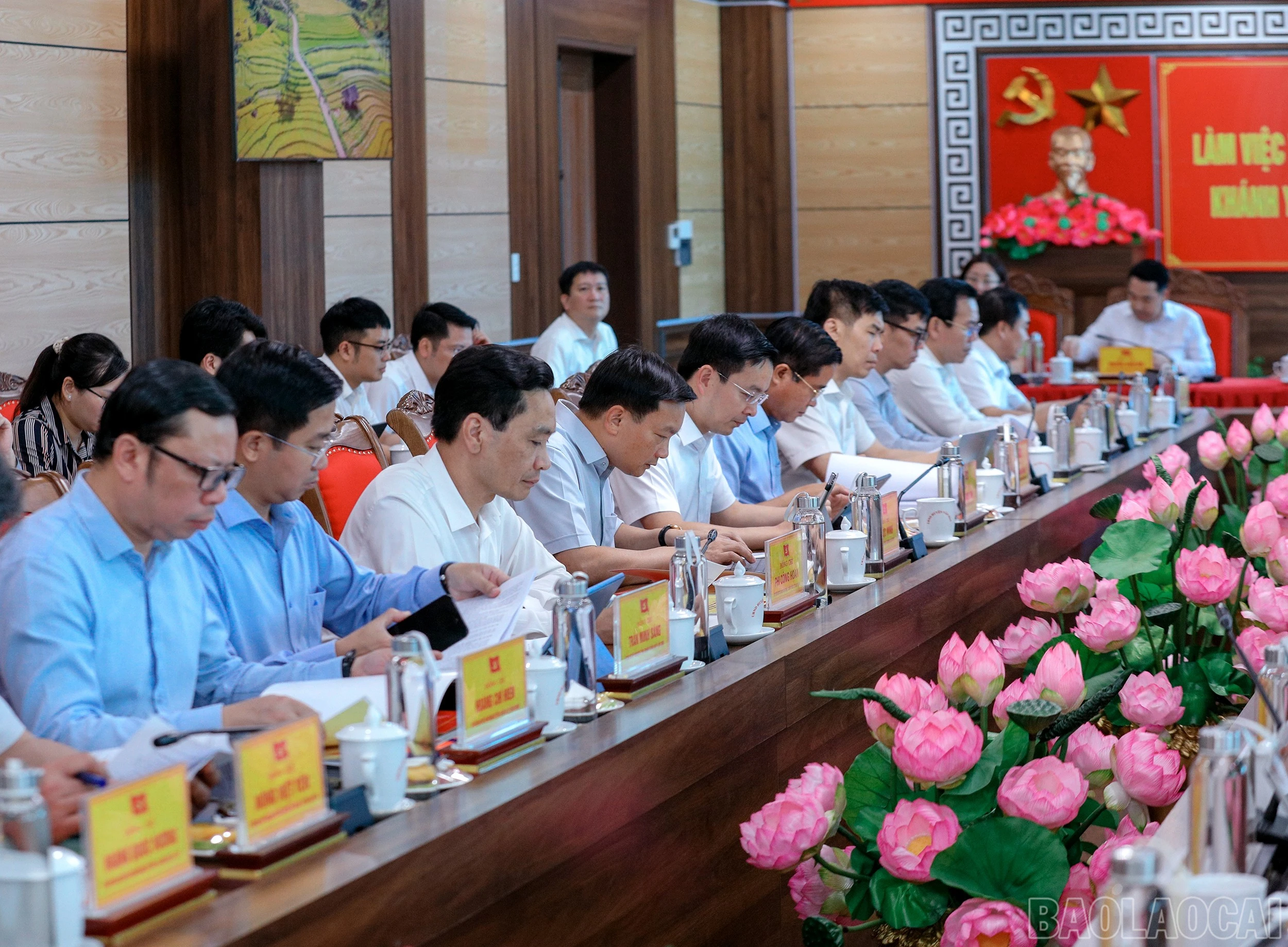 baolaocai-br_7j5a2977.jpg