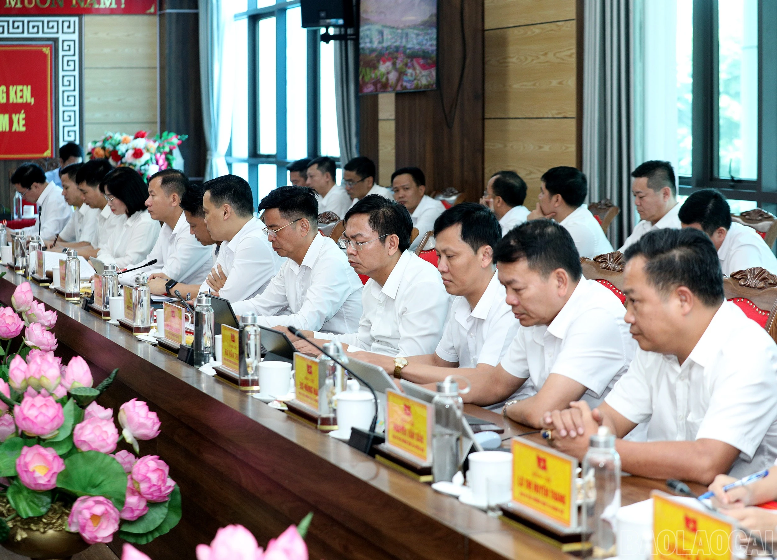 baolaocai-br_7j5a3180.jpg