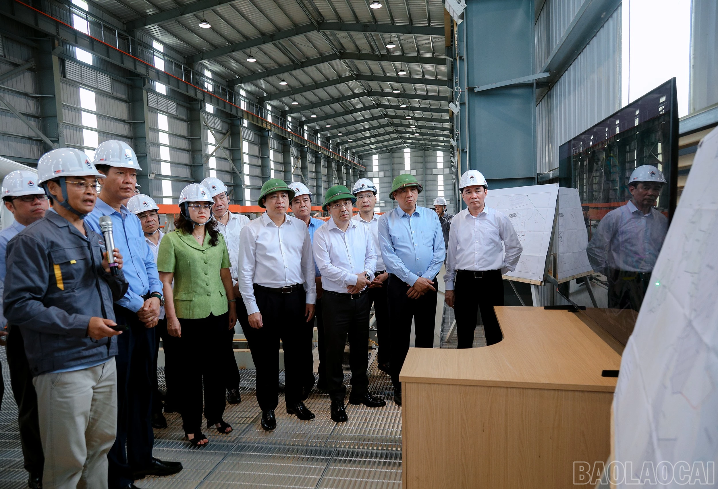 baolaocai-br_7j5a2908.jpg