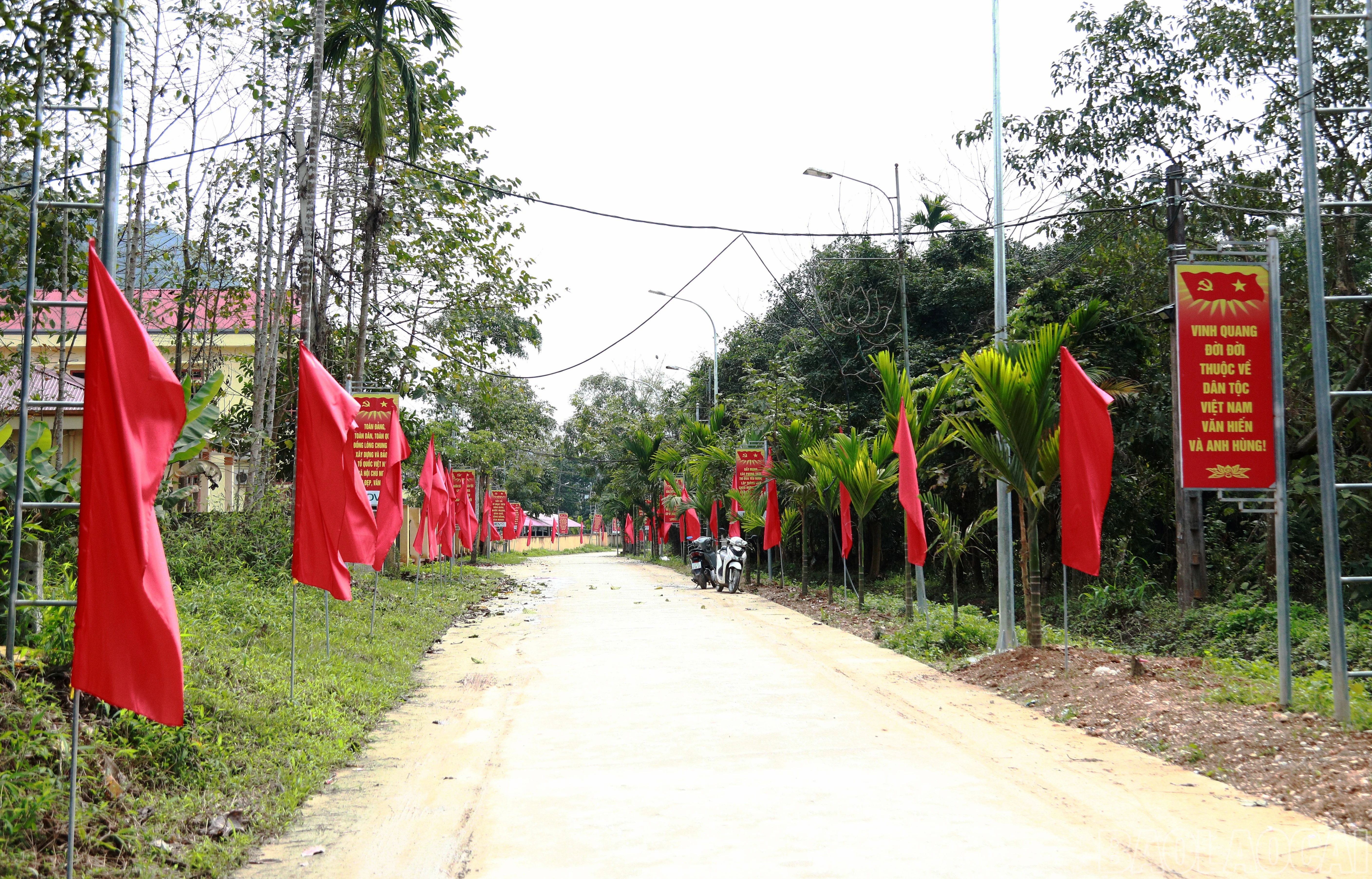 baolaocai-br_7j5a6024.jpg