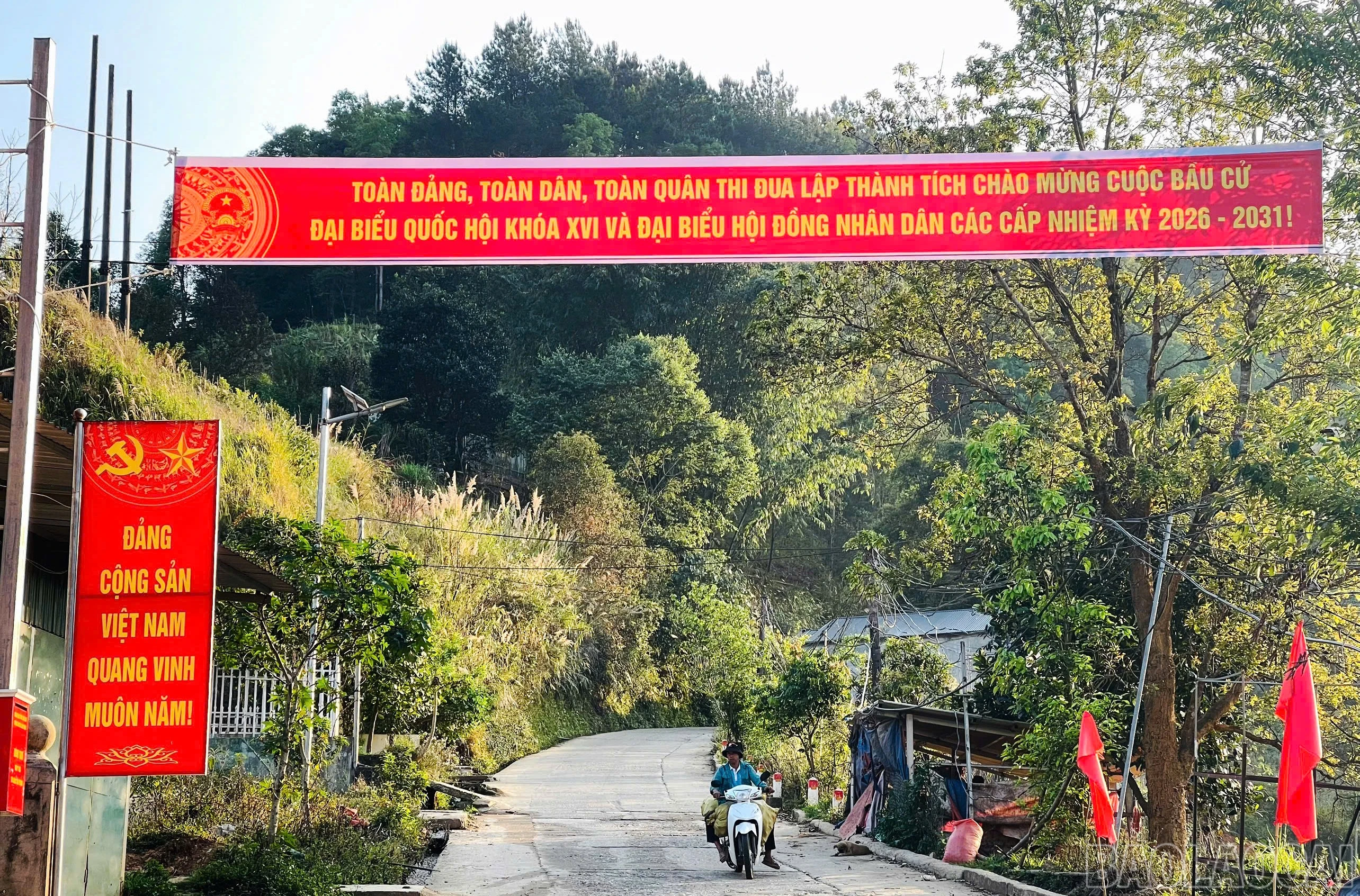 baolaocai-br_z7581092677795-5f63fe96b7f84b78e5817be367198275.jpg