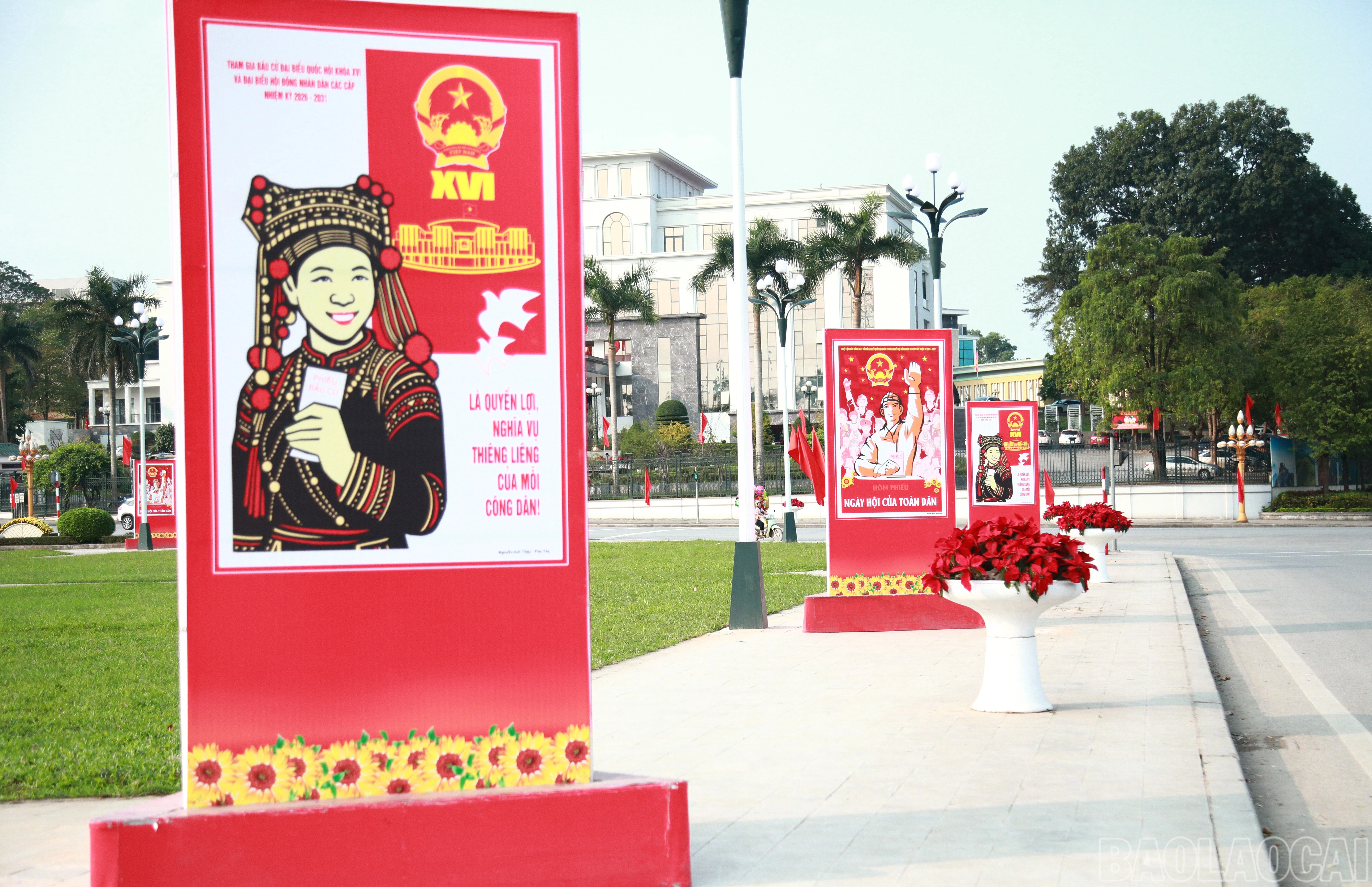 baolaocai-br_7j5a7058.jpg