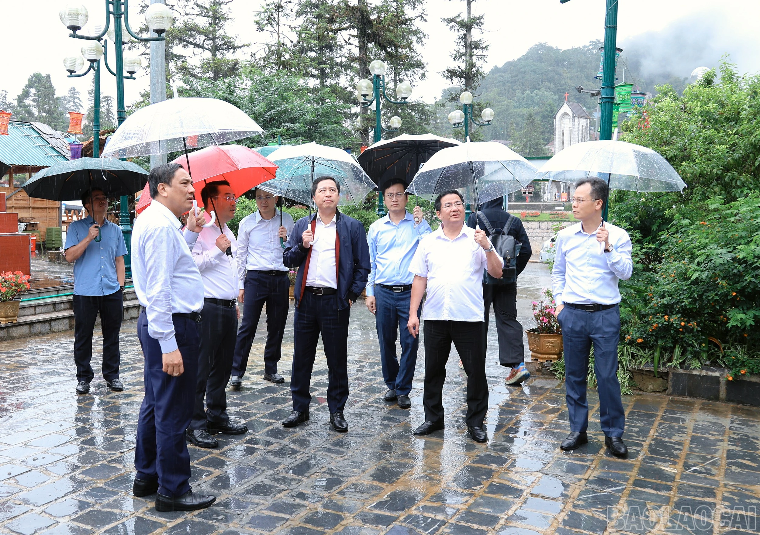 baolaocai-br_7j5a1088.jpg
