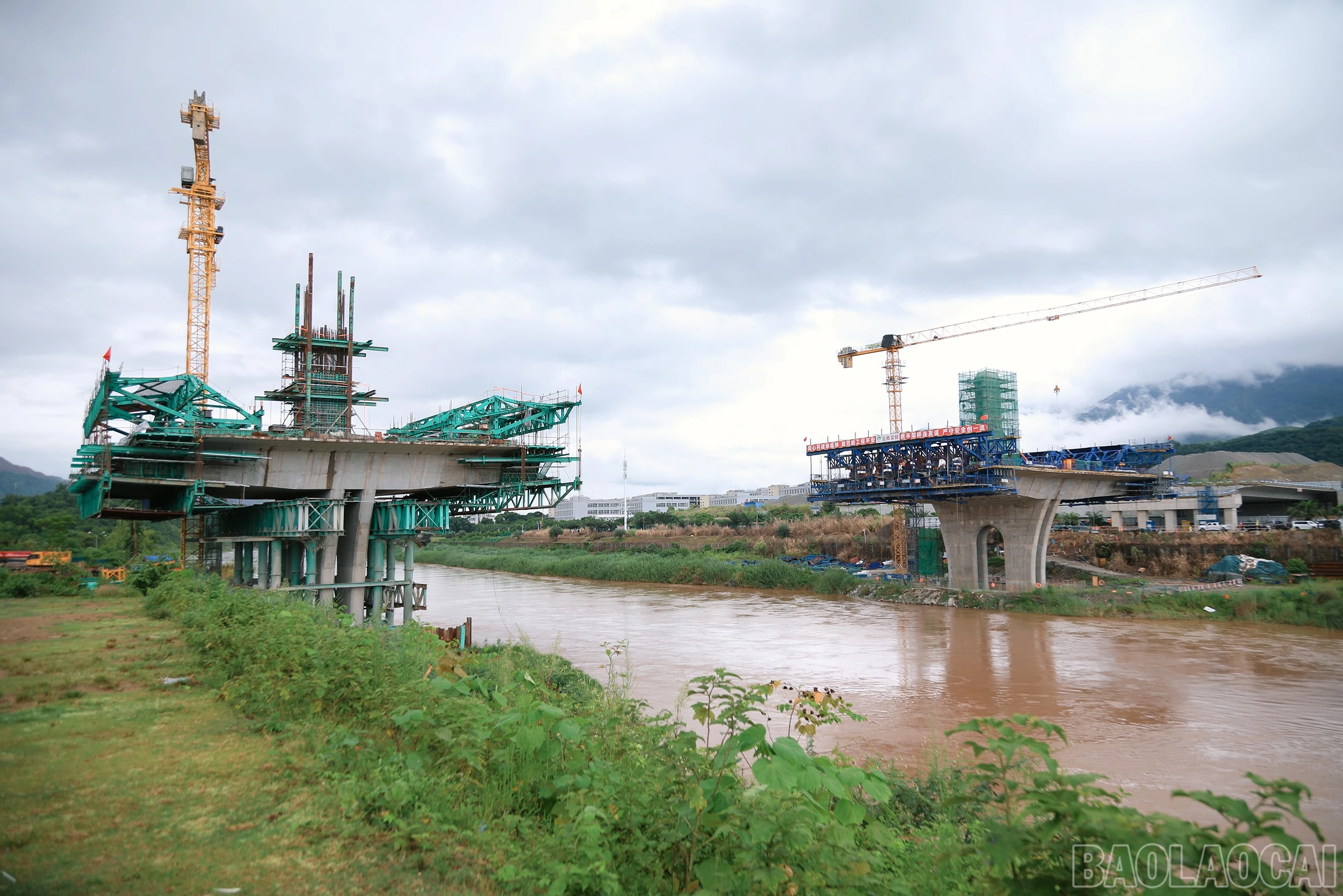 baolaocai-br_7j5a1138.jpg