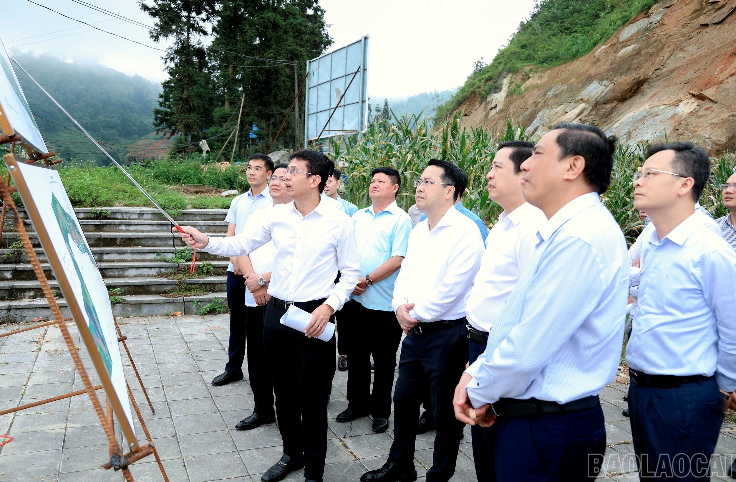 baolaocai-br_7j5a1012.jpg