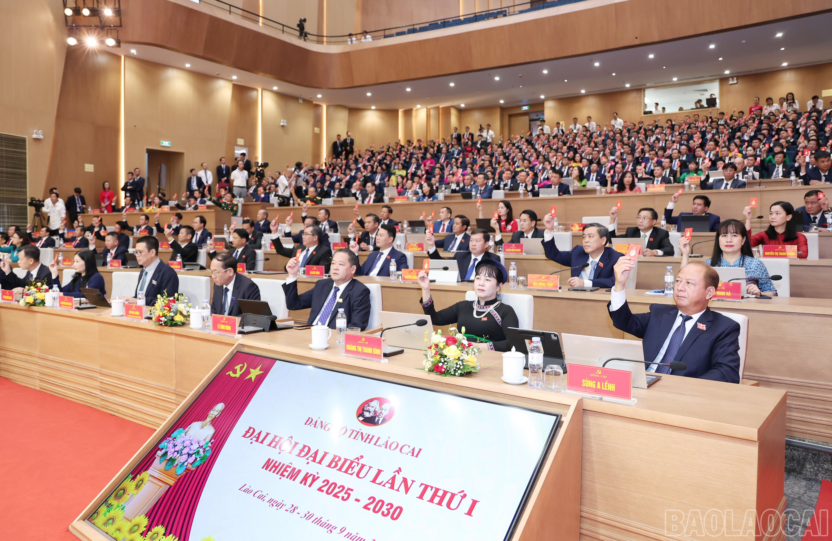baolaocai-br_img-1612.jpg